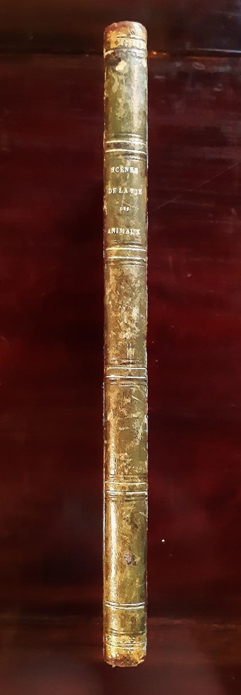 Scènes de la Vie [...] - Livre rare illustré par J. J. Grandville - 1852 en vente 4
