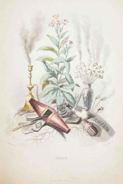 Tabac - Les Fleurs Animées Vol.I - Lithograph by J.J. Grandville - 1847