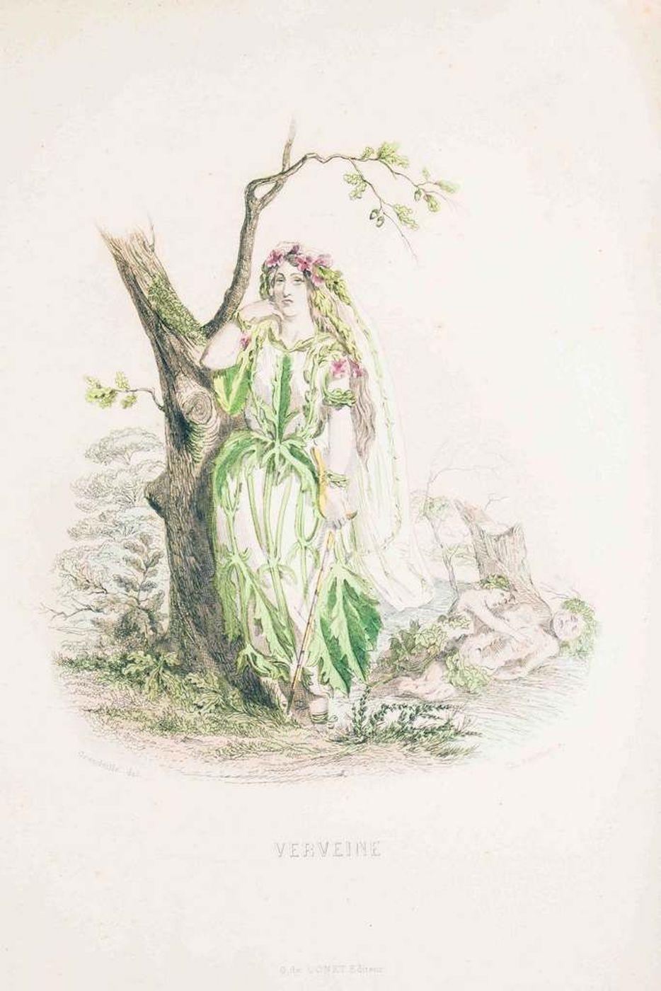 J. J. Grandville Figurative Print - Verveine - Les Fleurs Animées Vol.II - Litho by J.J. Grandville - 1847