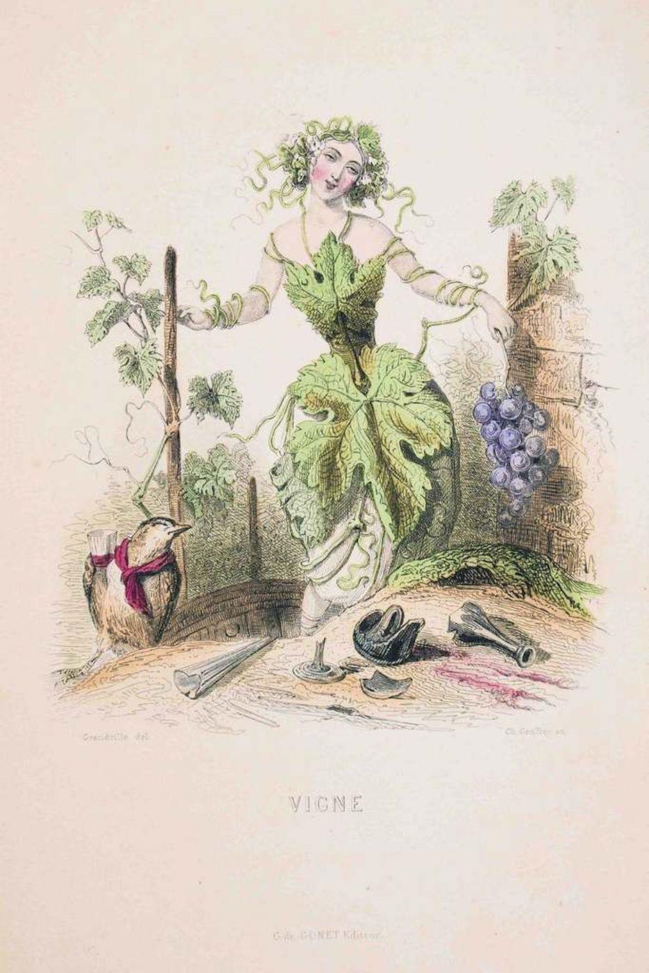 J. J. Grandville Figurative Print - Vigne - Les Fleurs Animées Vol.II - Litho by J.J. Grandville - 1847