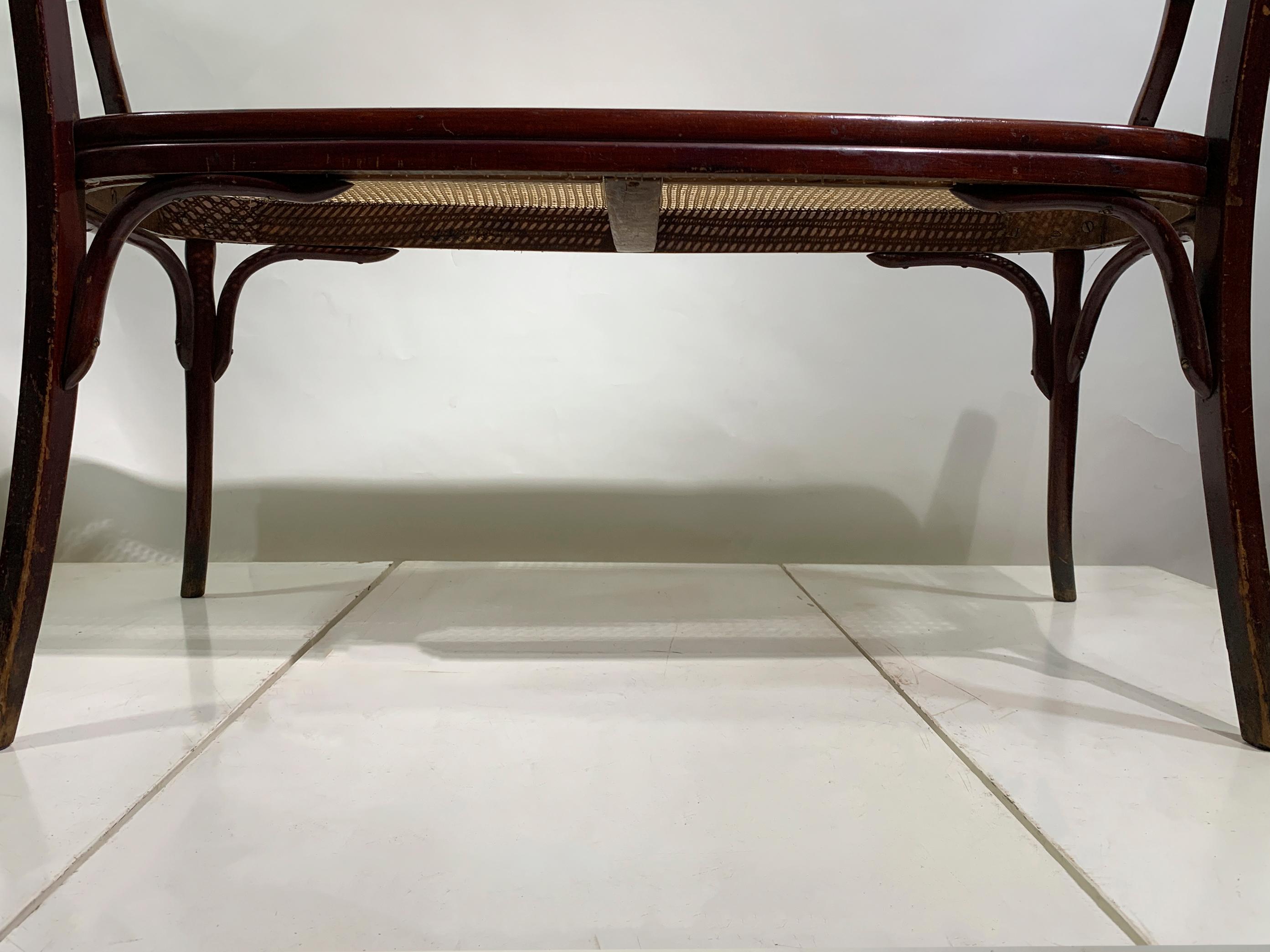 20th Century J. & J. Kohn Bentwood and Cane Bench, with Label, Austria, Circa 1900 For Sale