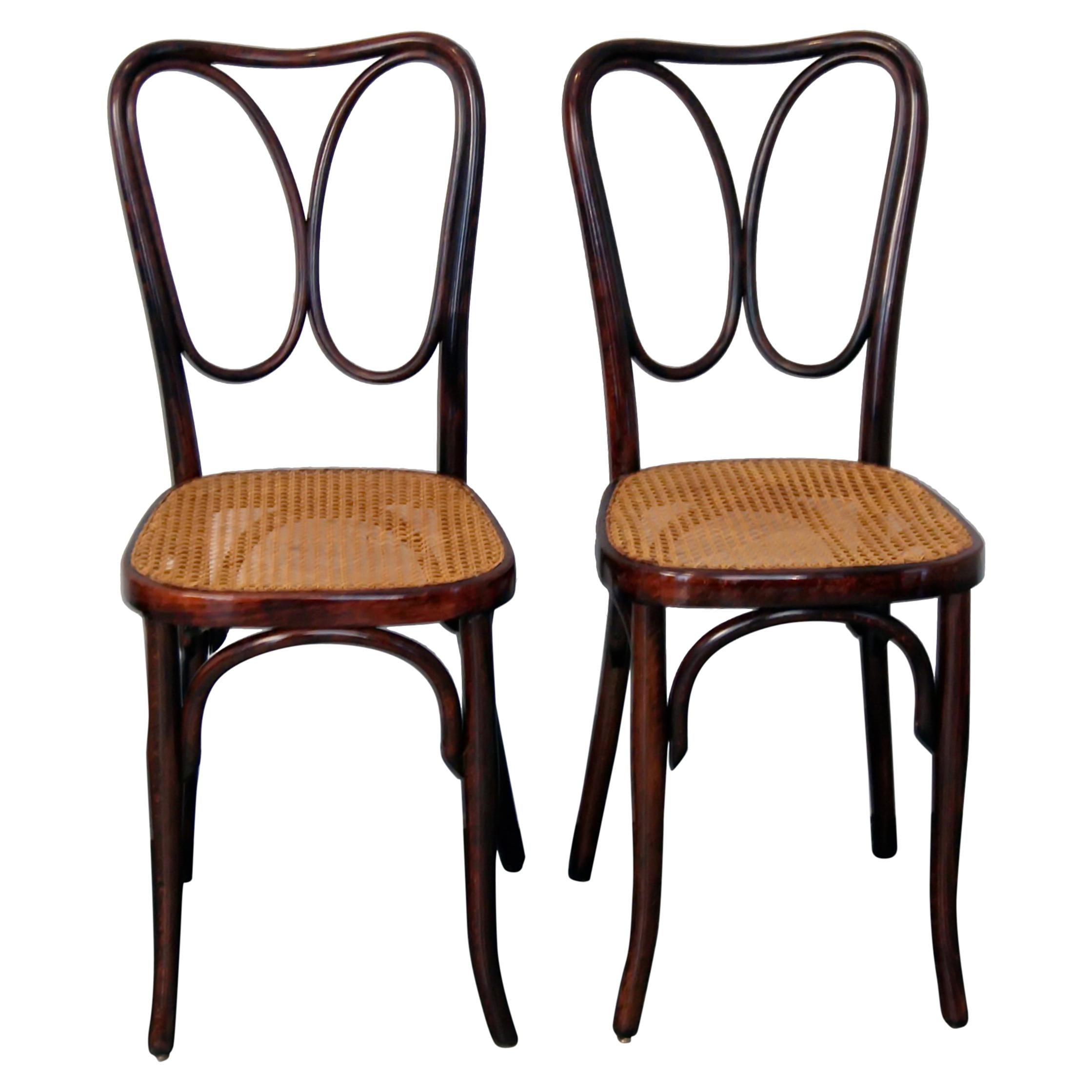 J. & J. Kohn Vienna Art Nouveau Bentwood Two Chairs Nr. 243 Mahogany c.1905