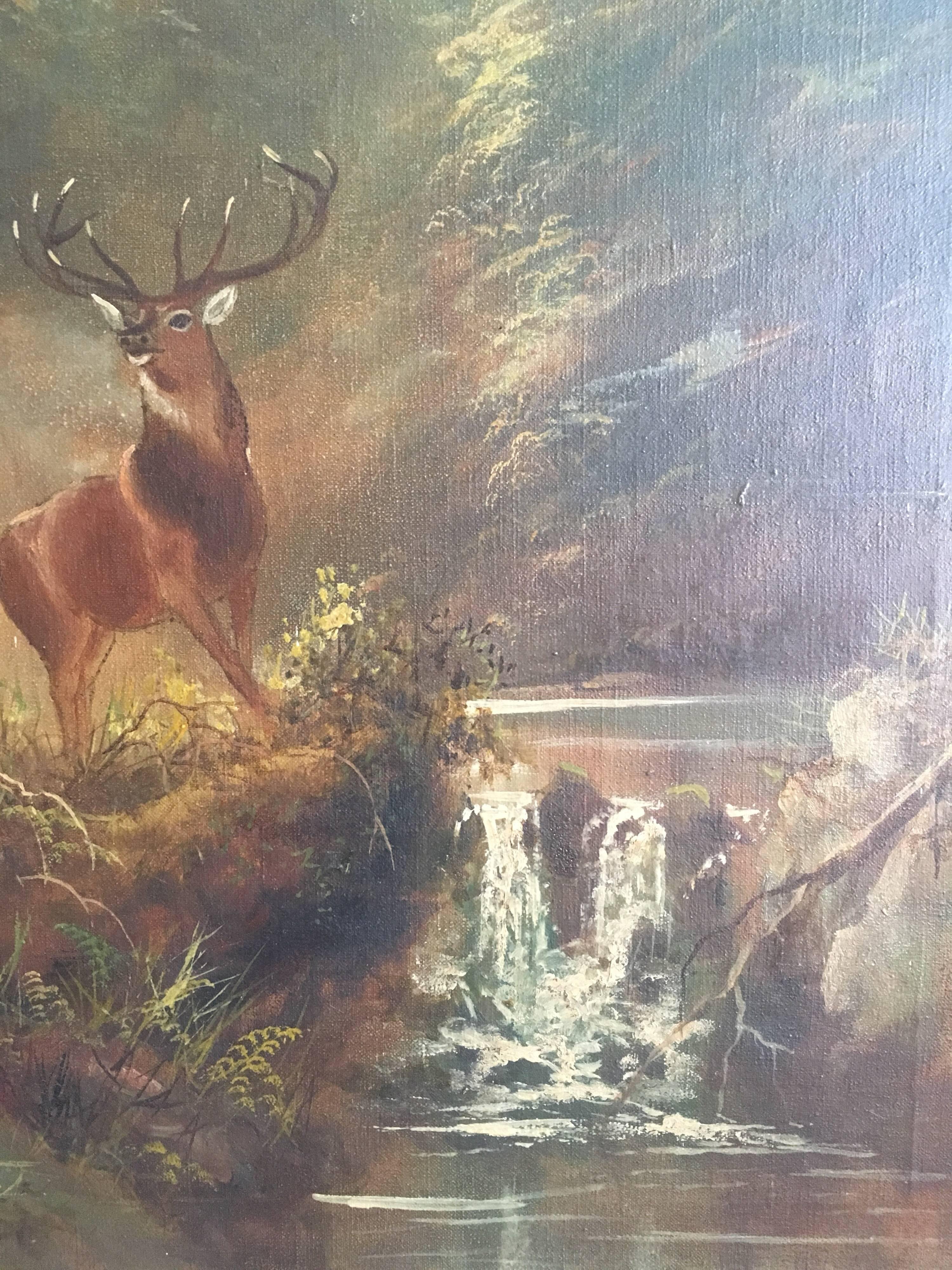 highland stag canvas