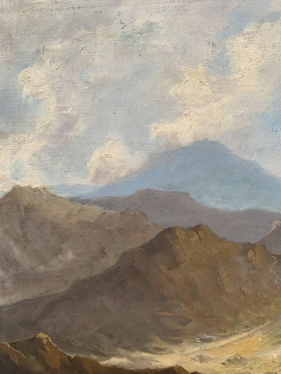 A&M. Ducker (Naturaliste britannique) - Peintures de paysage du 20e siècle - Lac en vente 4