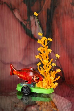 A Fish Out of Water,  limited edition photograph, archival ink, signed