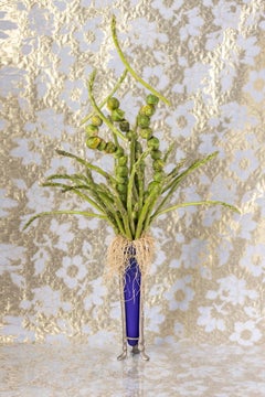 Asparagus in Bloom, photographie en édition limitée, encre d'archives, signée 
