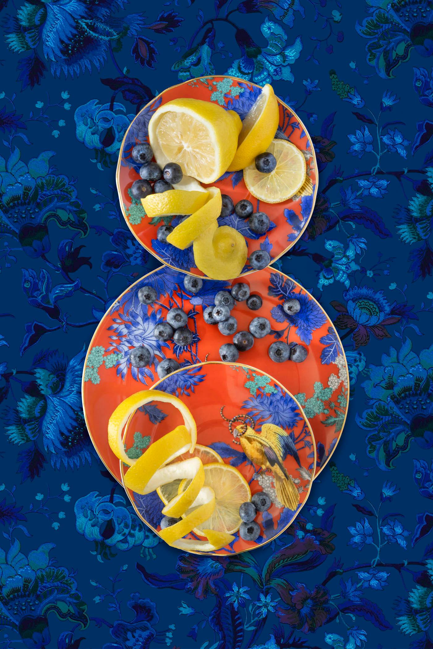 JP Terlizzi Color Photograph – Goldener Papagei mit blauen Beeren und Zitronen in limitierter Auflage von Wedgwood, Fotografie 