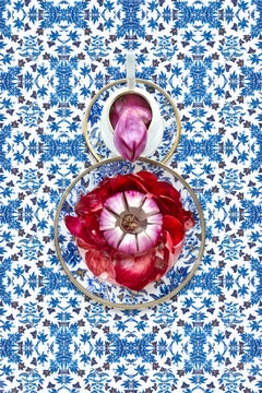 Ibisco di Wedgwood con cipolla rossa, edizione limitata, fotografia d'archivio, firmata