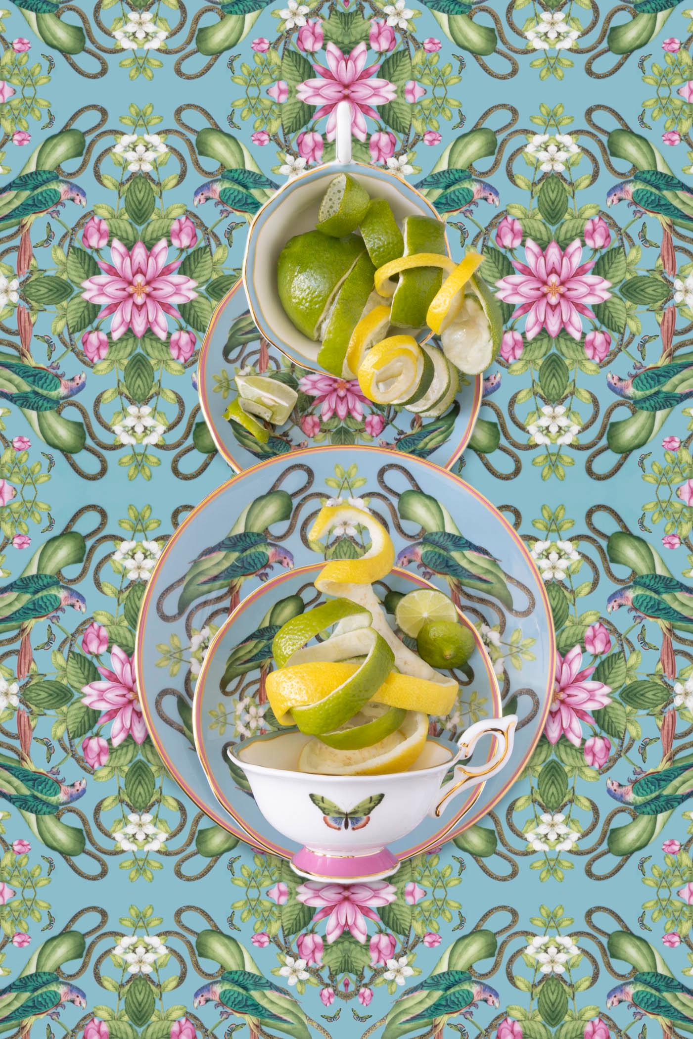JP Terlizzi Color Photograph – Wedgwood Menagerie mit Citrus, Fotografie in limitierter Auflage 
