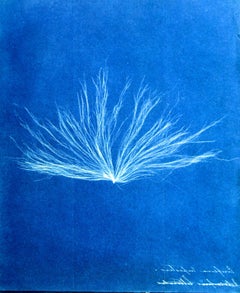 J. Paul Getty Museum Handbook of the Photos Collection by Weston J. Naef 1st Ed