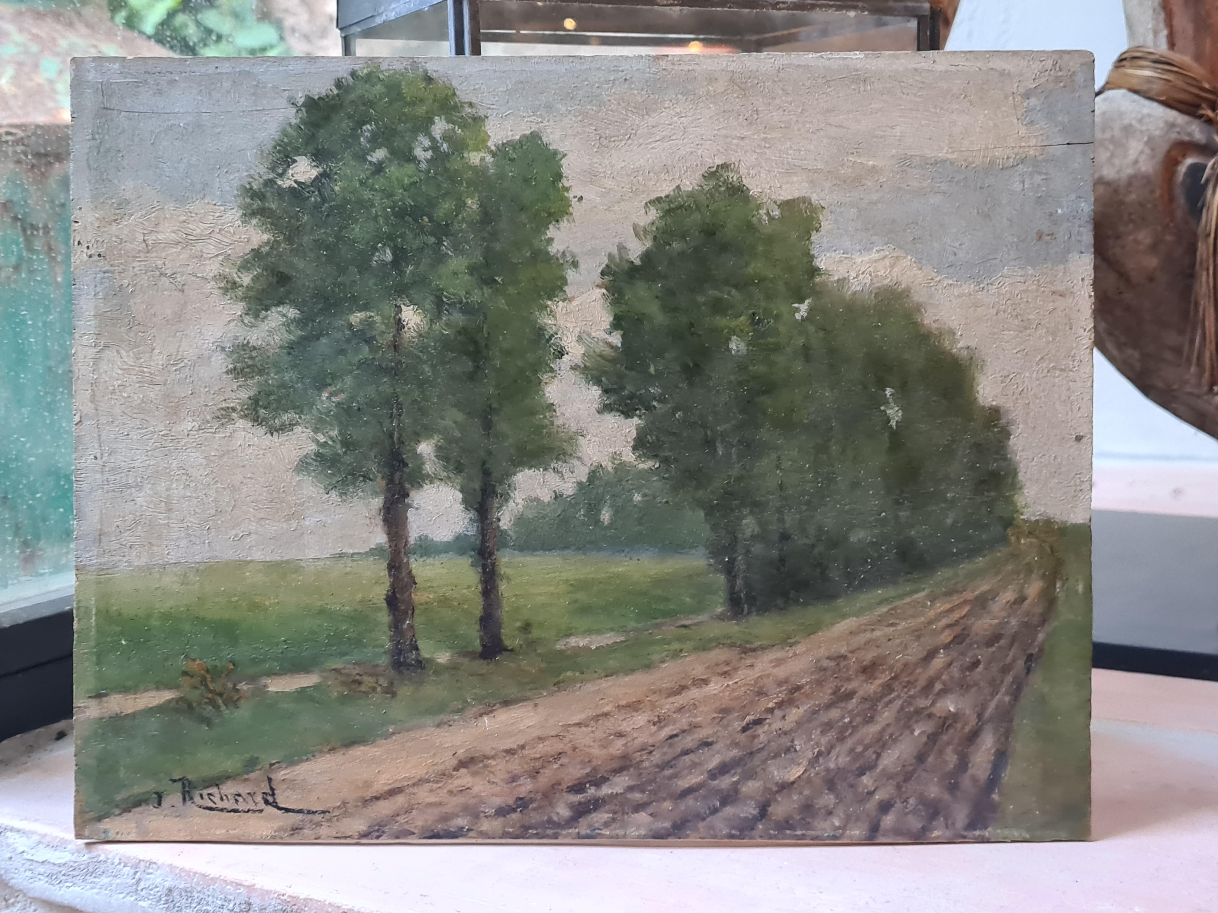 Paysage de l'école de Barbizon, Les peupliers, fin du XIXe siècle Huile sur panneau de bois - École de Barbizon Painting par J Richard