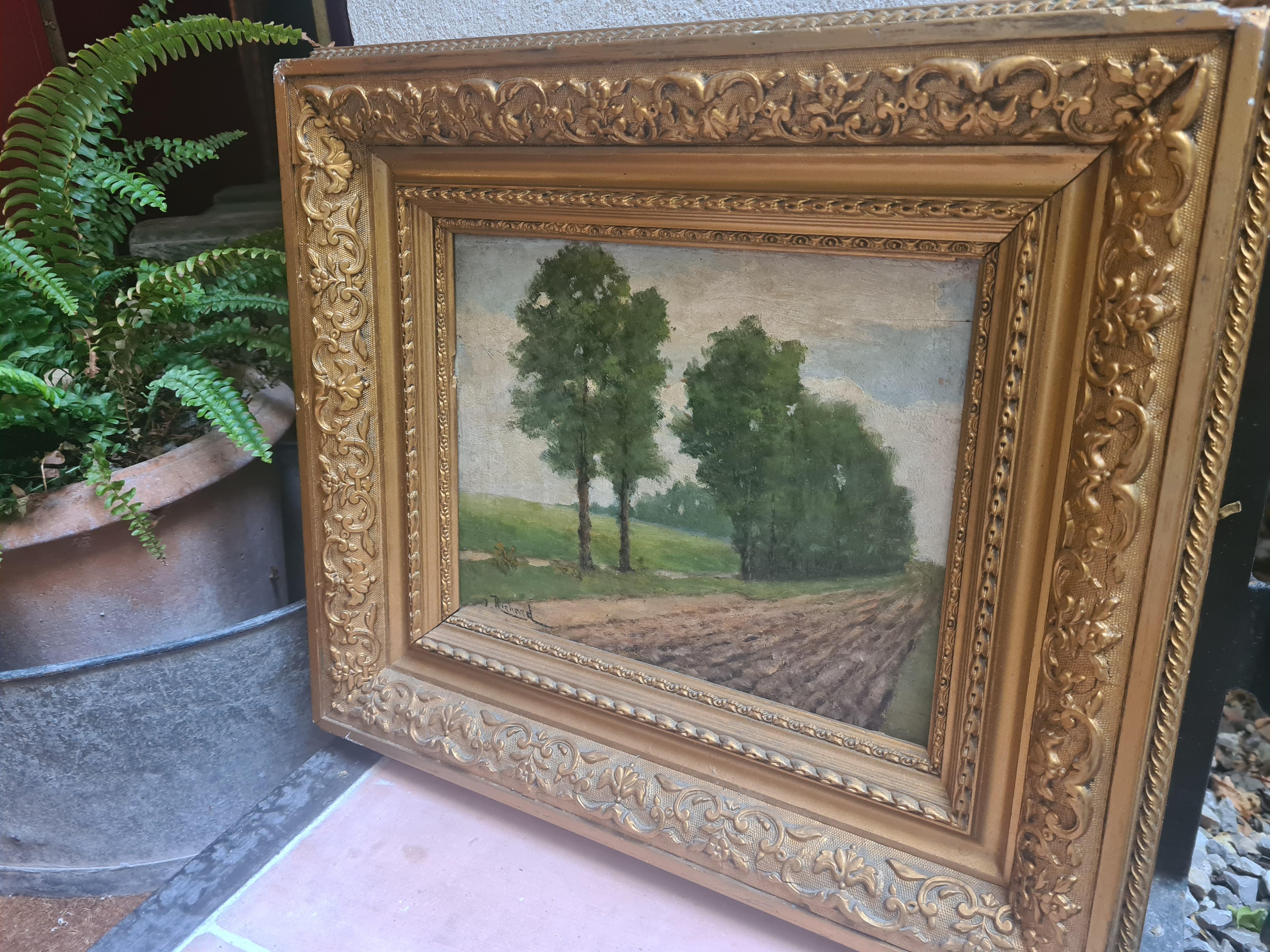 Paesaggio della Scuola di Barbizon, I pioppi. Olio su pannello di Wood. 8