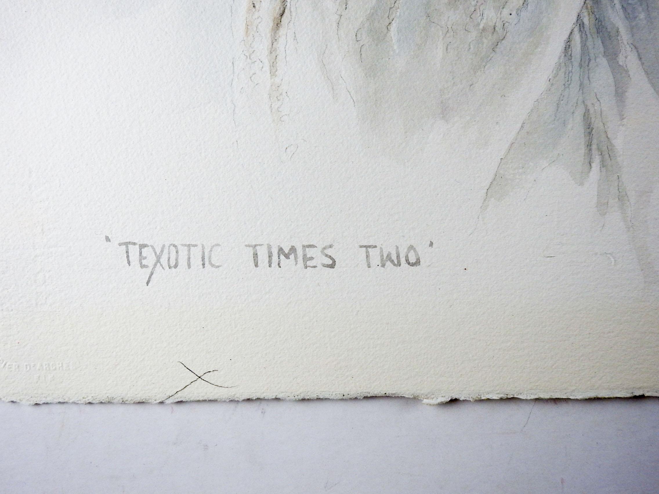 Aquarell auf Papier von J. Royal Telford (1932-2003) Texas.  Betitelt Texotic Times Two, datiert 1989 und am unteren Rand signiert.  Das Gemälde zeigt ein Paar Whitetail-Böcke.  Ungerahmt.
