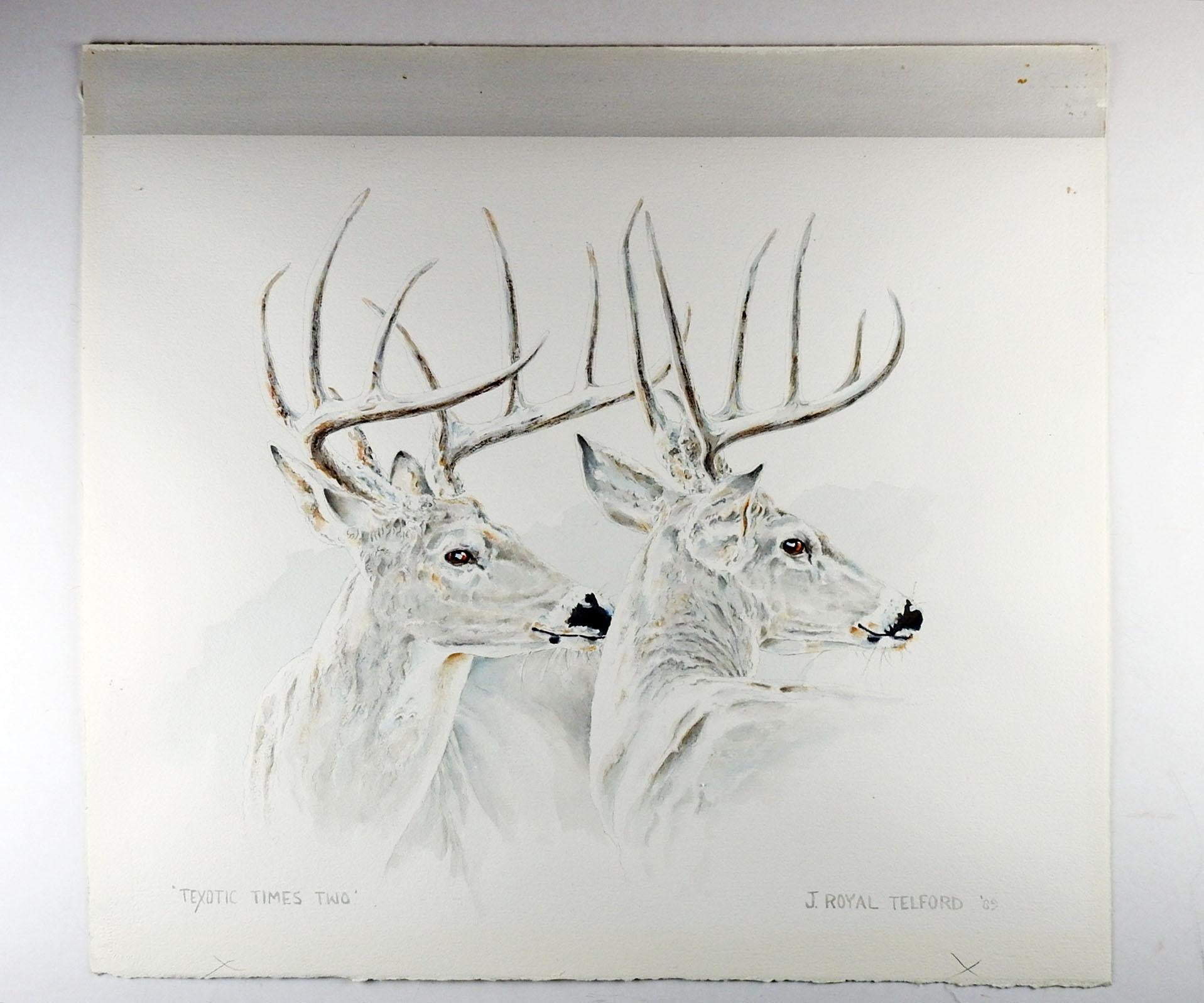 J. Royal Telford Texas White Tail Deer Watercolor Painting In Good Condition For Sale In Seguin, TX