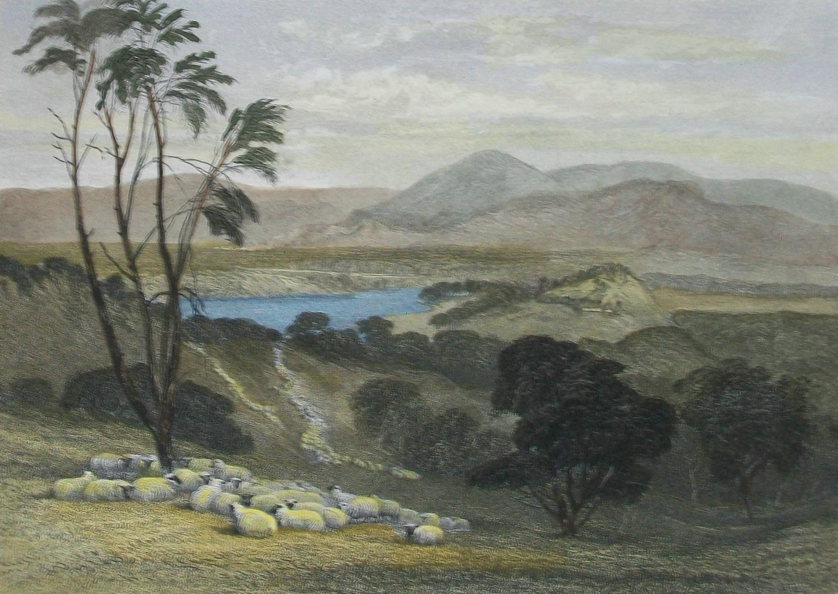John Skinner Prout (1805-1876) - 'the upper Goulburn, Victoria' - antique steel plate engraving after a painting by J. S. Prout - from 'Australia' by Edwin Carton Booth - hand colored - engraved by William Forrest - titled lower center - signed