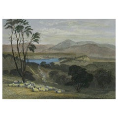 J S PROUT - « The Upper Goulburn, Victoria » - gravure colorée à la main - U K - 1874