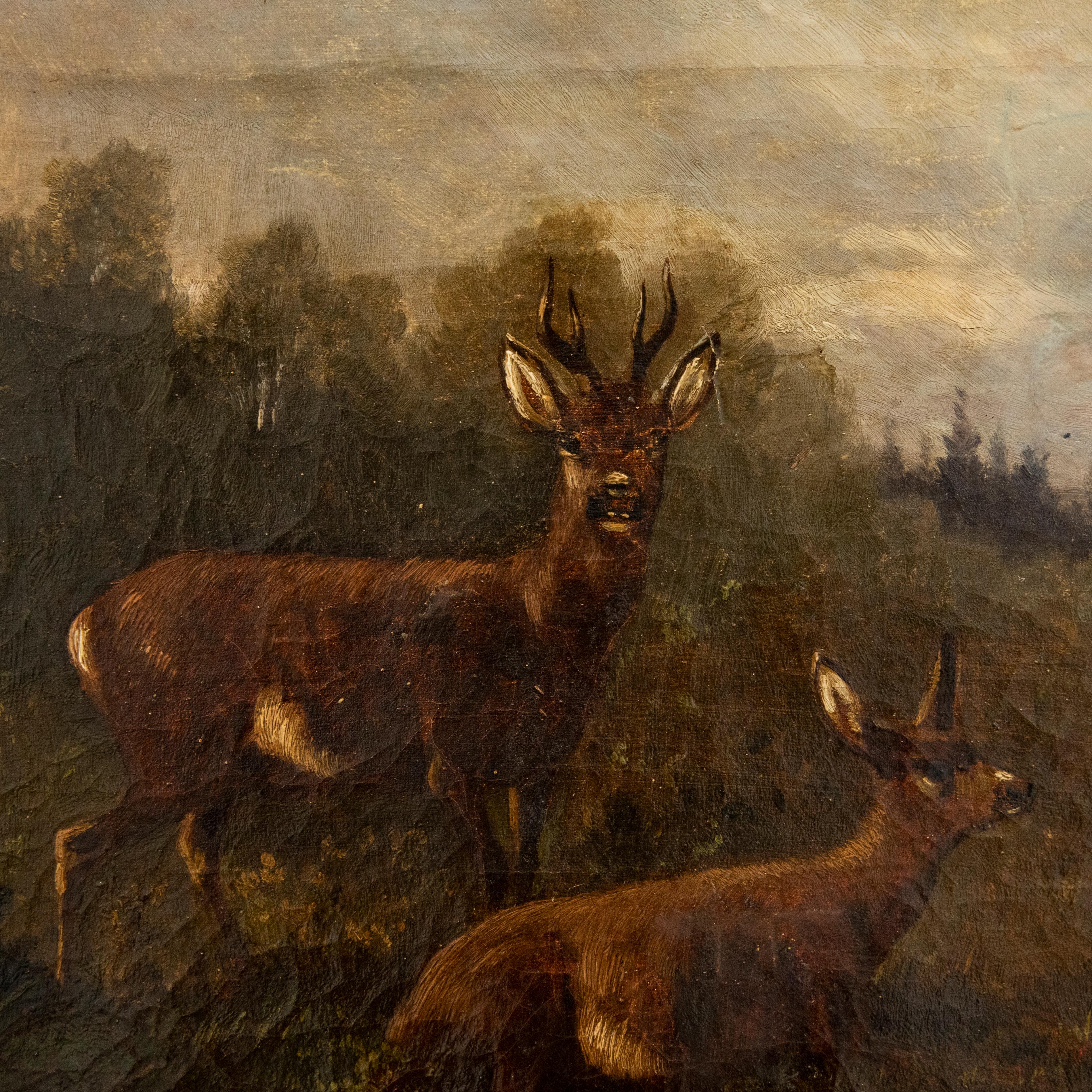 J. Von Berg - 1880 Oil, Deer At The Edge Of The Forest 4