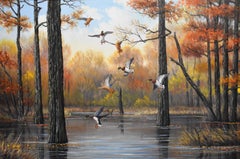 "Coming In For A Landing"  Ducks landing in Wetlands