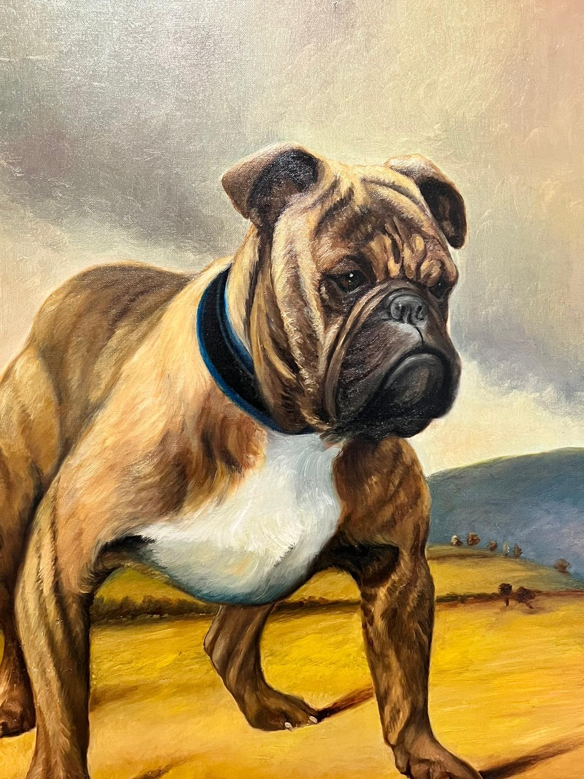 Britischer Bulldogge, Original 1900er Jahre, englisches Hundegemälde, Porträt einer Bulldogge, signiert im Angebot 1