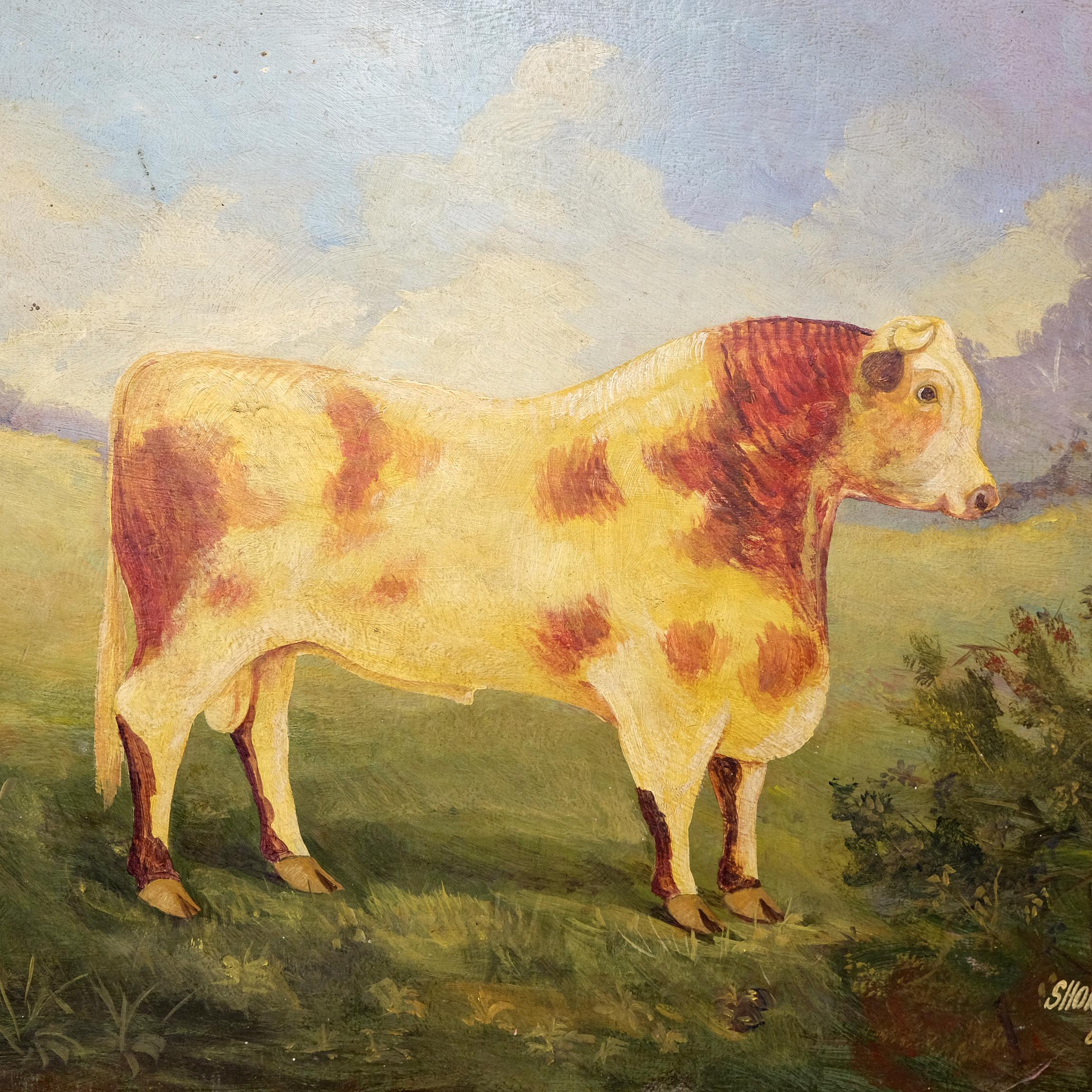 Charming naive oil on board of a roan colored Shorthorn Bull standing proudly in a landscape of snow capped hills and lush grassy meadows with a column of cumulonimbus cloud towering up in the distance. Signed by the artist, J. Winters, and