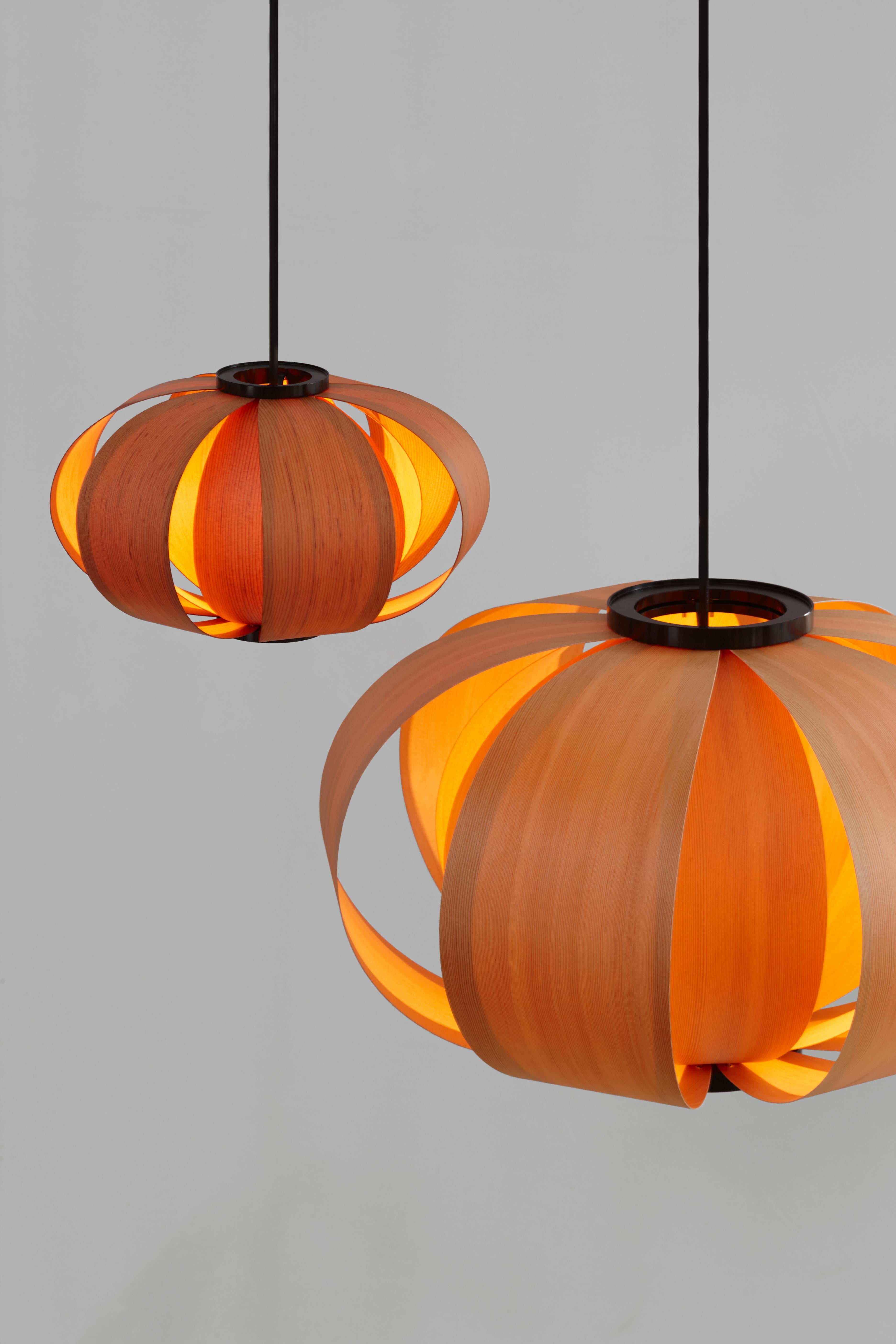Bentwood J. A. Coderch 'Disa Mini' Wood Suspension Lamp for Tunds For Sale