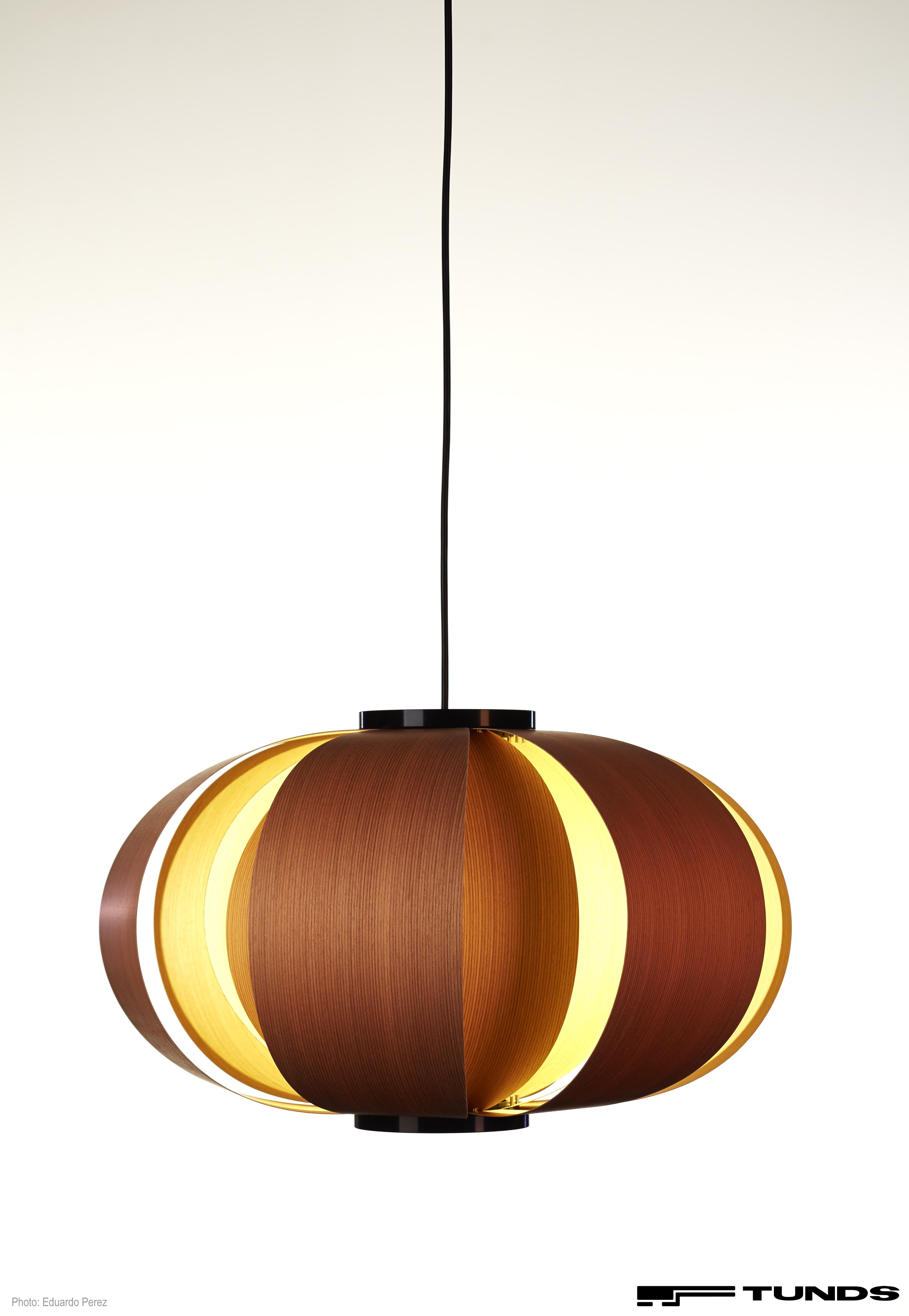Large 'Disa' Wood Suspension Lamp by J.A. Coderch for Tunds For Sale 7