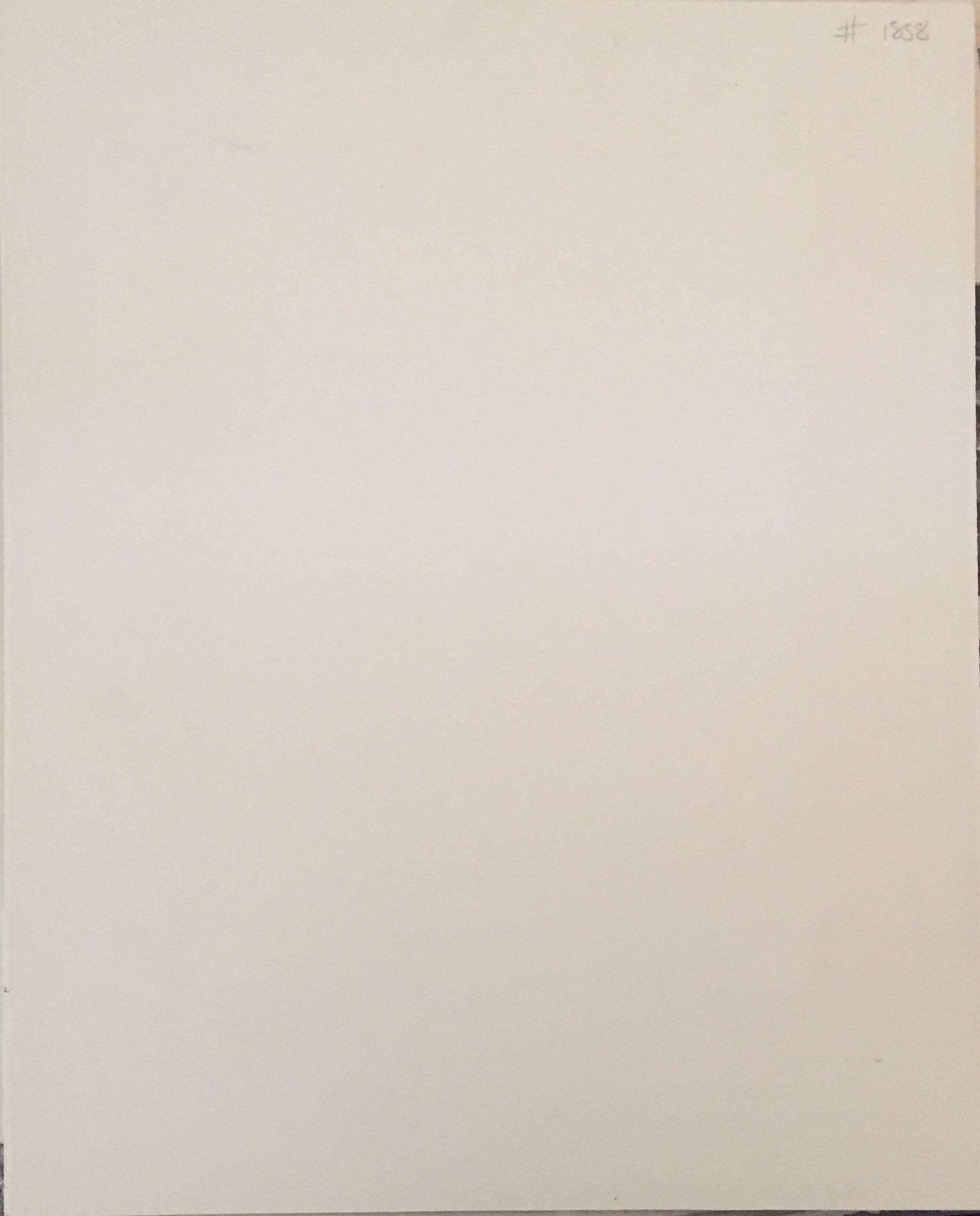 Einzigartiges Schwarzweißfoto
von der Fotografin Jacalyn (Jackie) Diane Kalmes
von der Northwestern University - Hochschule der Künste, Chemie