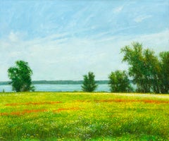 Flores silvestres, Lago Cleburne
