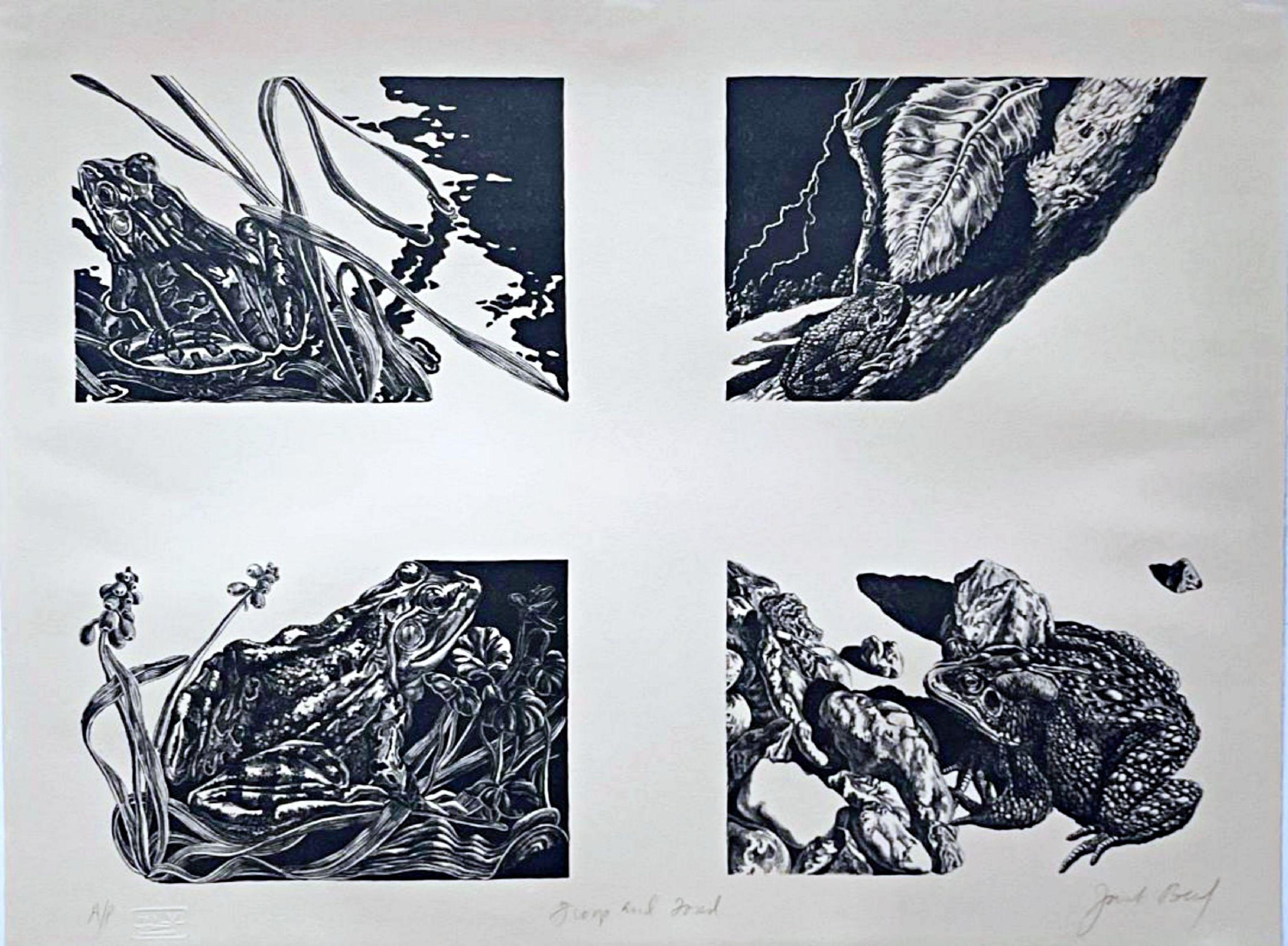 Frogs and Toad, litografia firmata (AP), da Conspiracy: L'artista come testimone