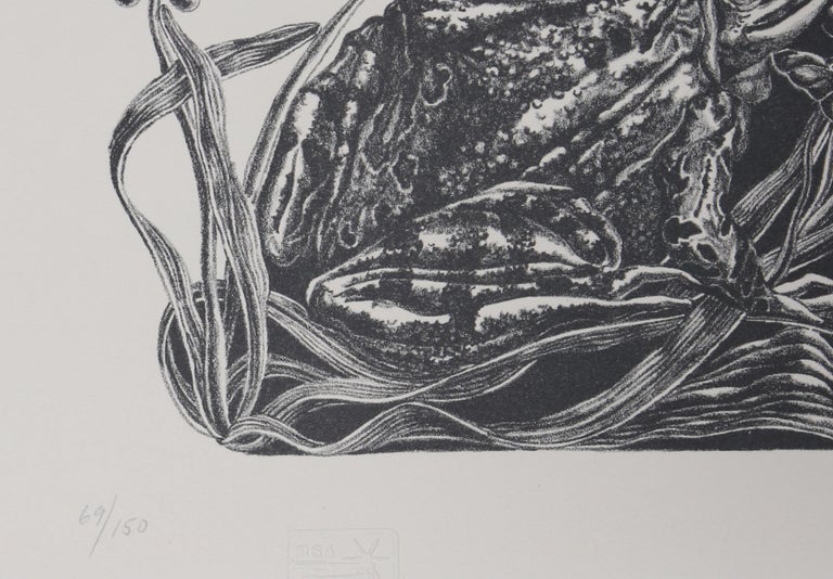 Frogs and Toads, Lithograph by Jack Beal  For Sale 1