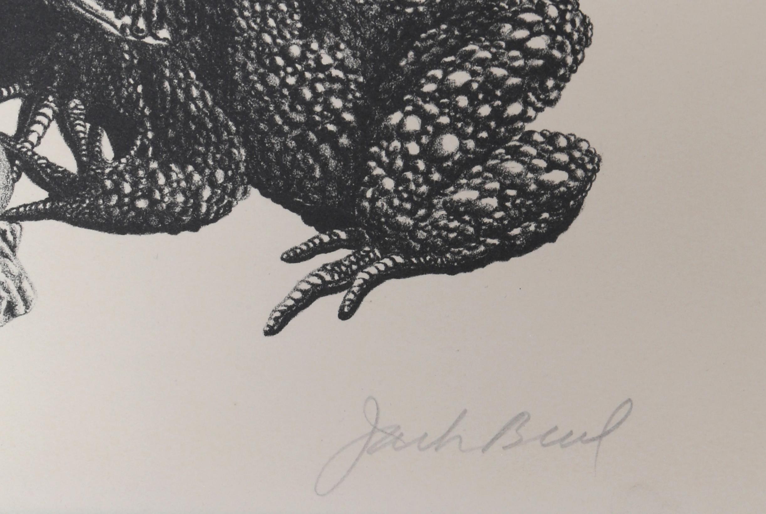 Frogs and Toads, Lithograph by Jack Beal  For Sale 1