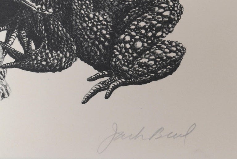 Frogs and Toads, Lithograph by Jack Beal  For Sale 2