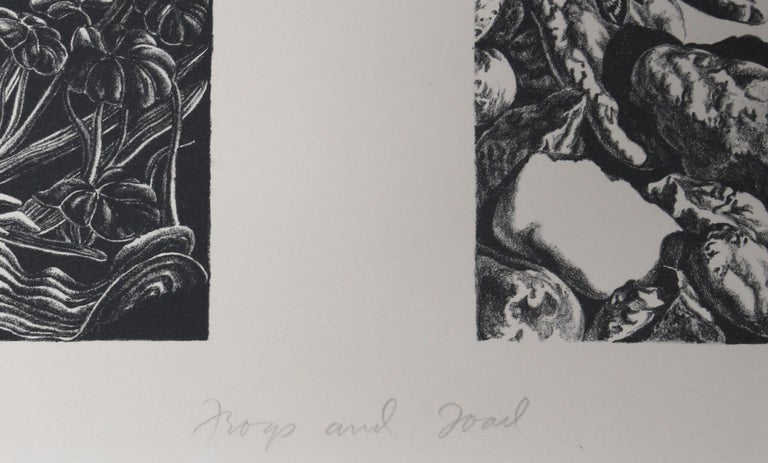 Frogs and Toads, Lithograph by Jack Beal  For Sale 3