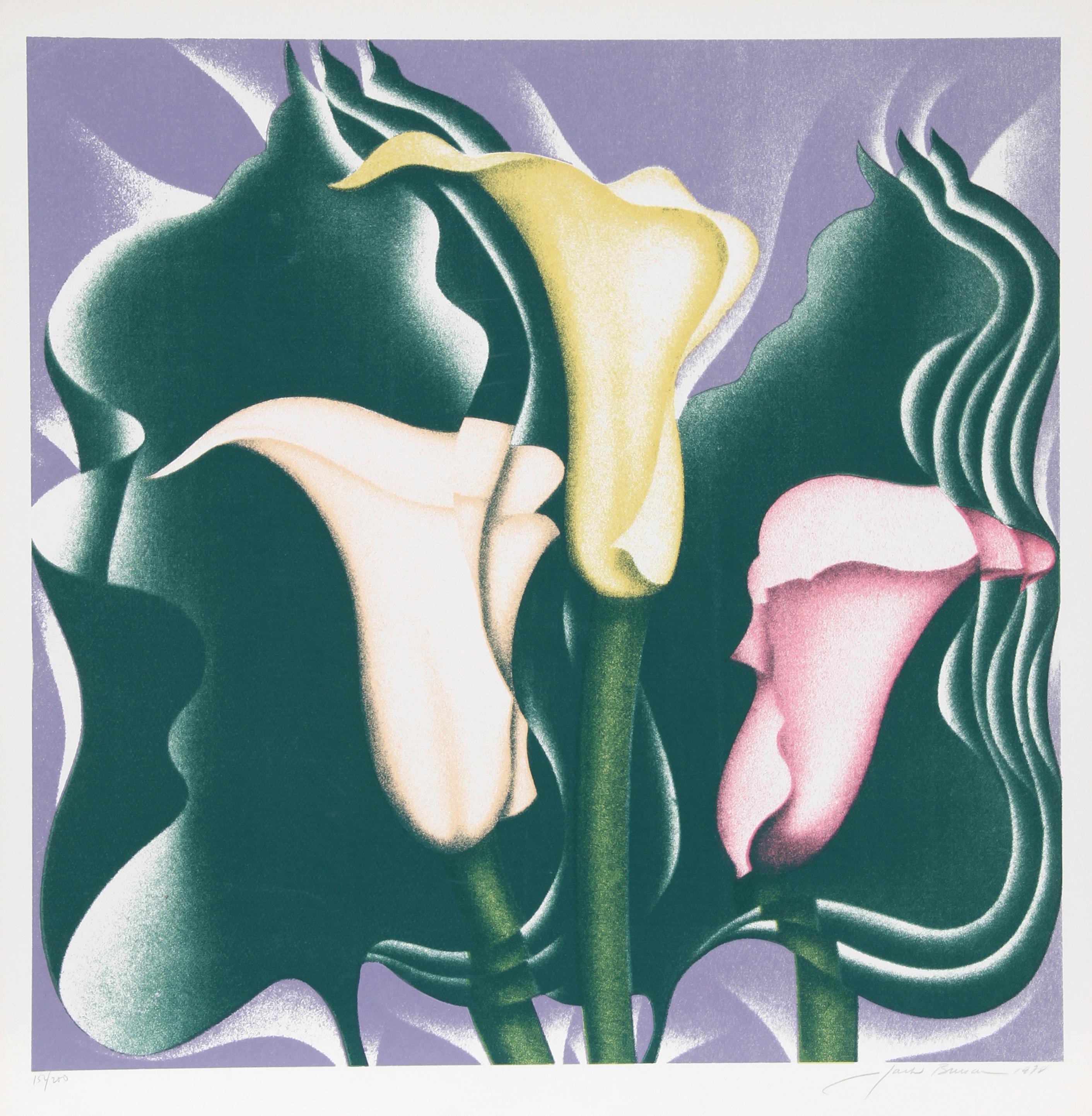 Calla Lily
Jack Brusca, American (1939–1993)
Date: 1978
Screenprint, signed and numbered in pencil
Edition of 200, AP 30
Image Size: 23.5 x 23.5 inches
Size: 26 in. x 25.5 in. (66.04 cm x 64.77 cm)
