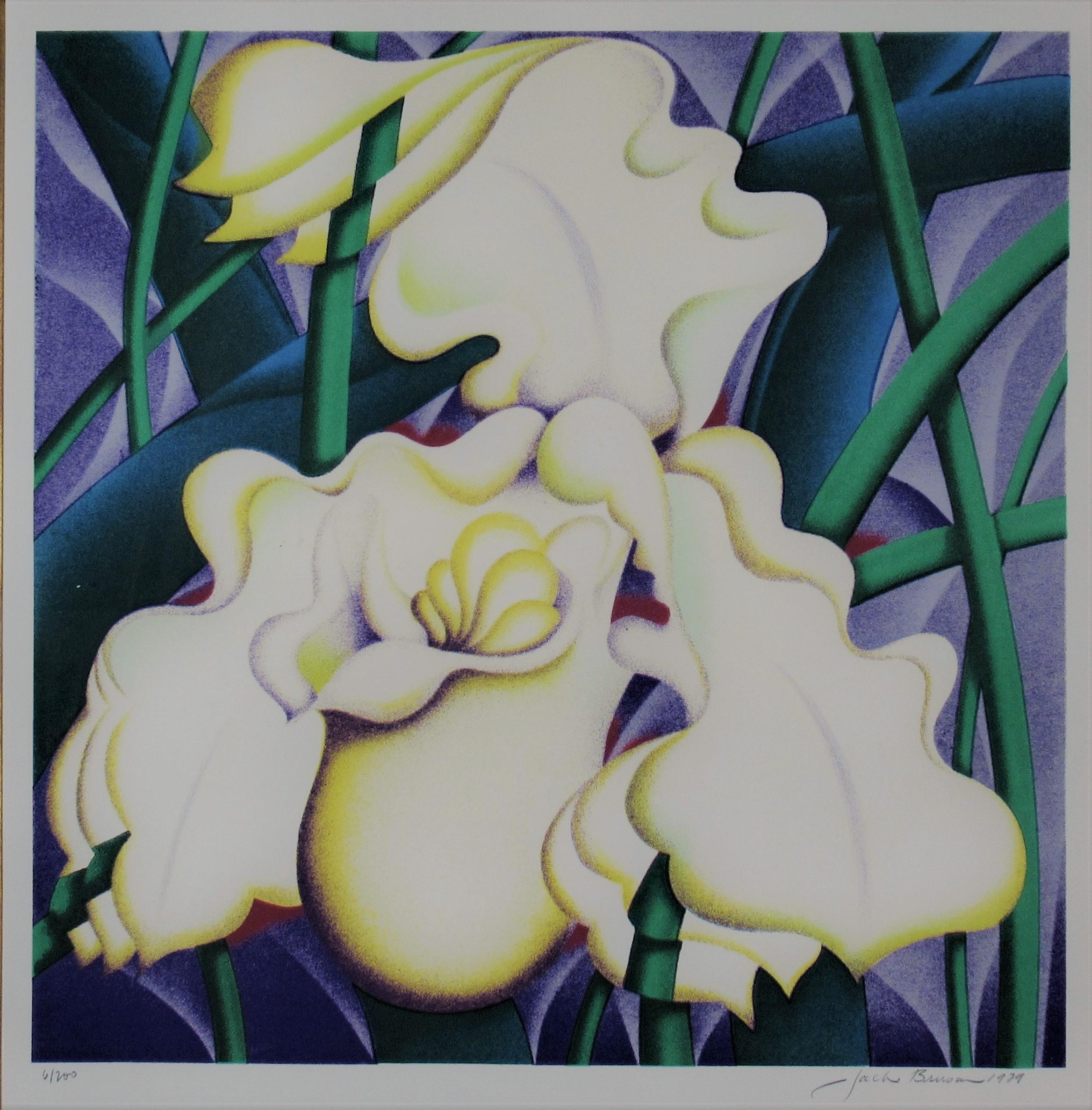 Orchid - Print by Jack Brusca