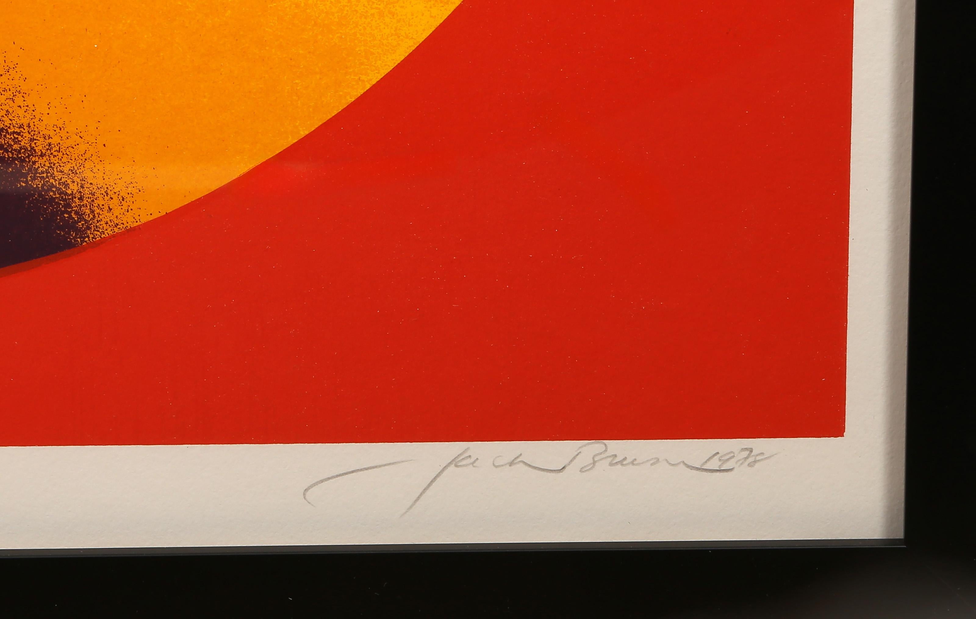 Revolution, Op Art Screenprint by Jack Brusca For Sale 2