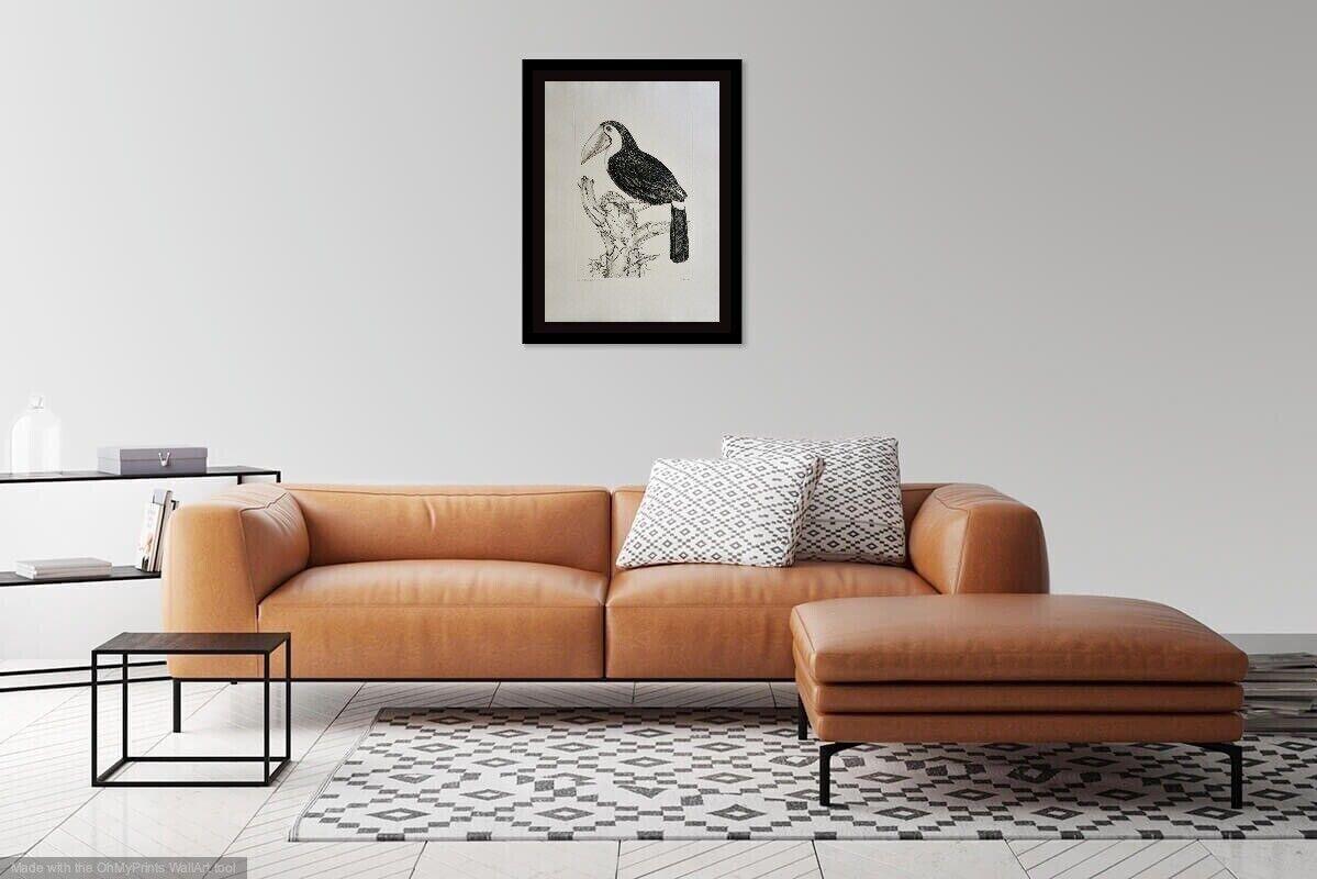 Sulphur Breasted Toucan - Contemporary Print by Jack Coutu