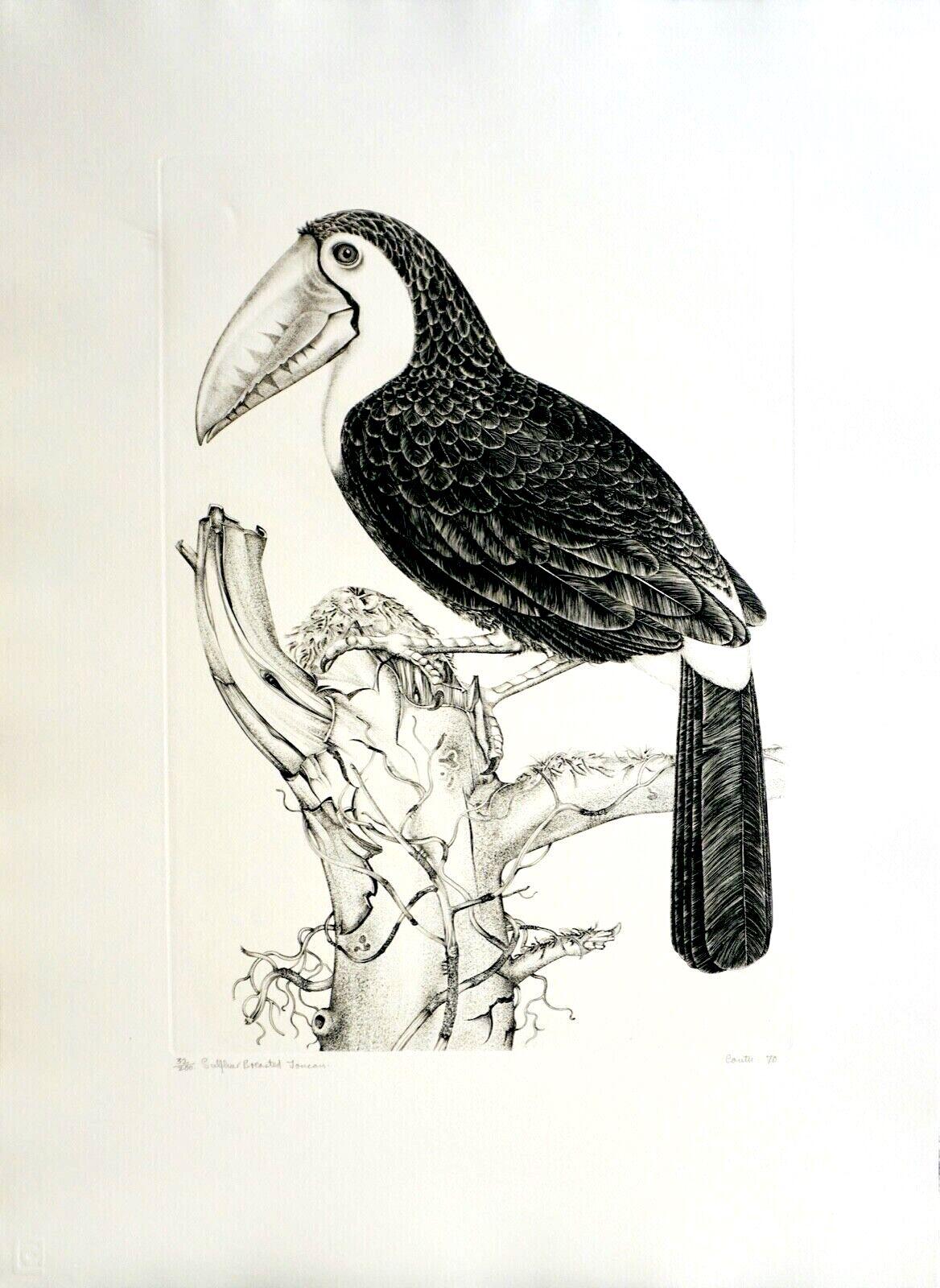 Jack Coutu Animal Print - Sulphur Breasted Toucan