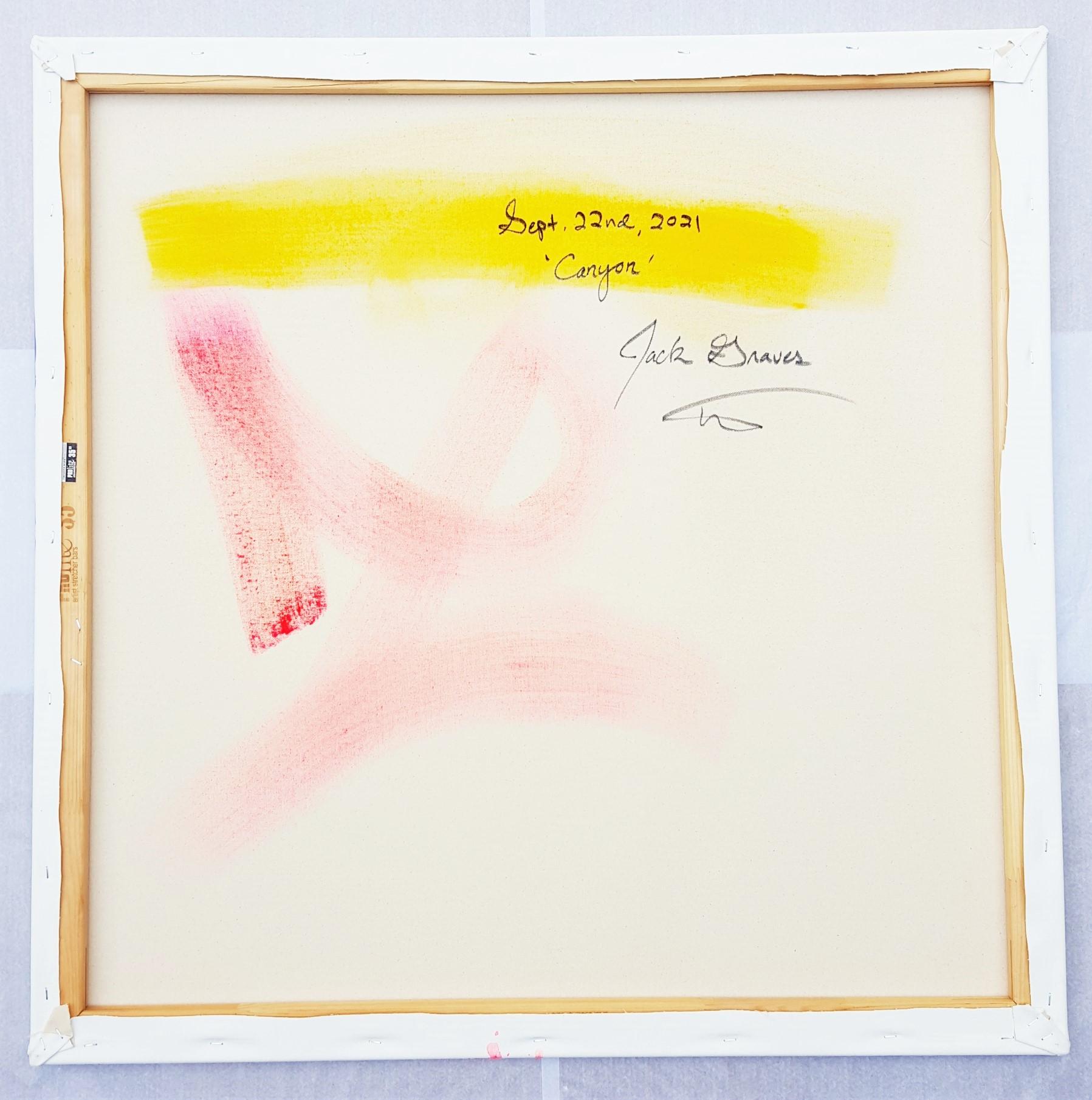 Canyon /// Contemporary Abstract Expressionist Colorful Painting Canvas Art For Sale 9