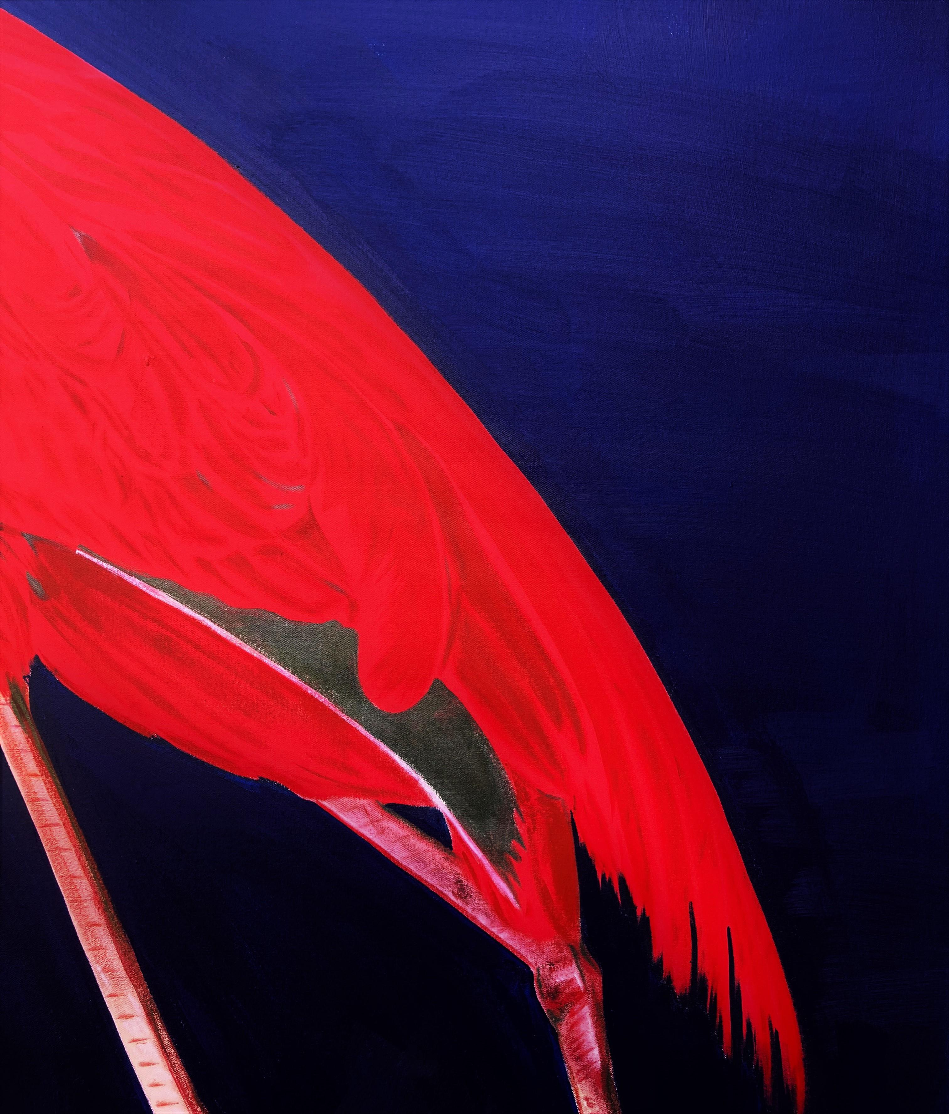 Icona John James Audubon Flamingo /// Enorme uccello costiero ornitologico contemporaneo 2