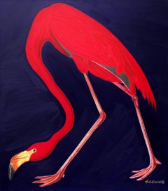 Icona John James Audubon Flamingo /// Enorme uccello costiero ornitologico contemporaneo