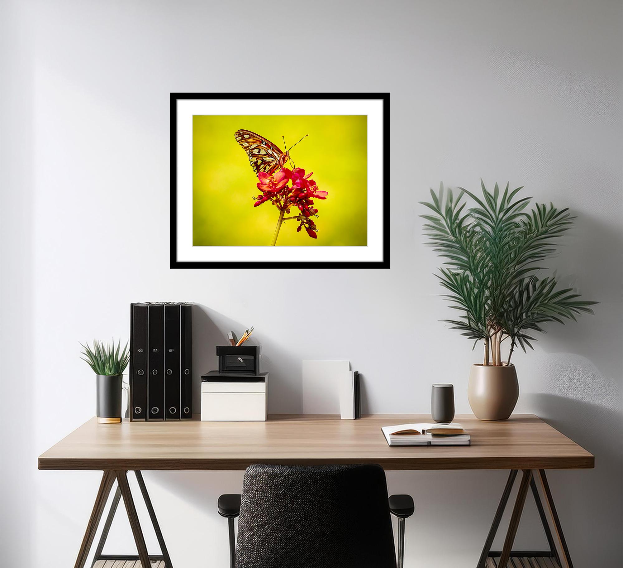 “Gulf Fritillary” Photography 12” x 16” in Edition of 20 Butterfly Nature 2024 For Sale 1