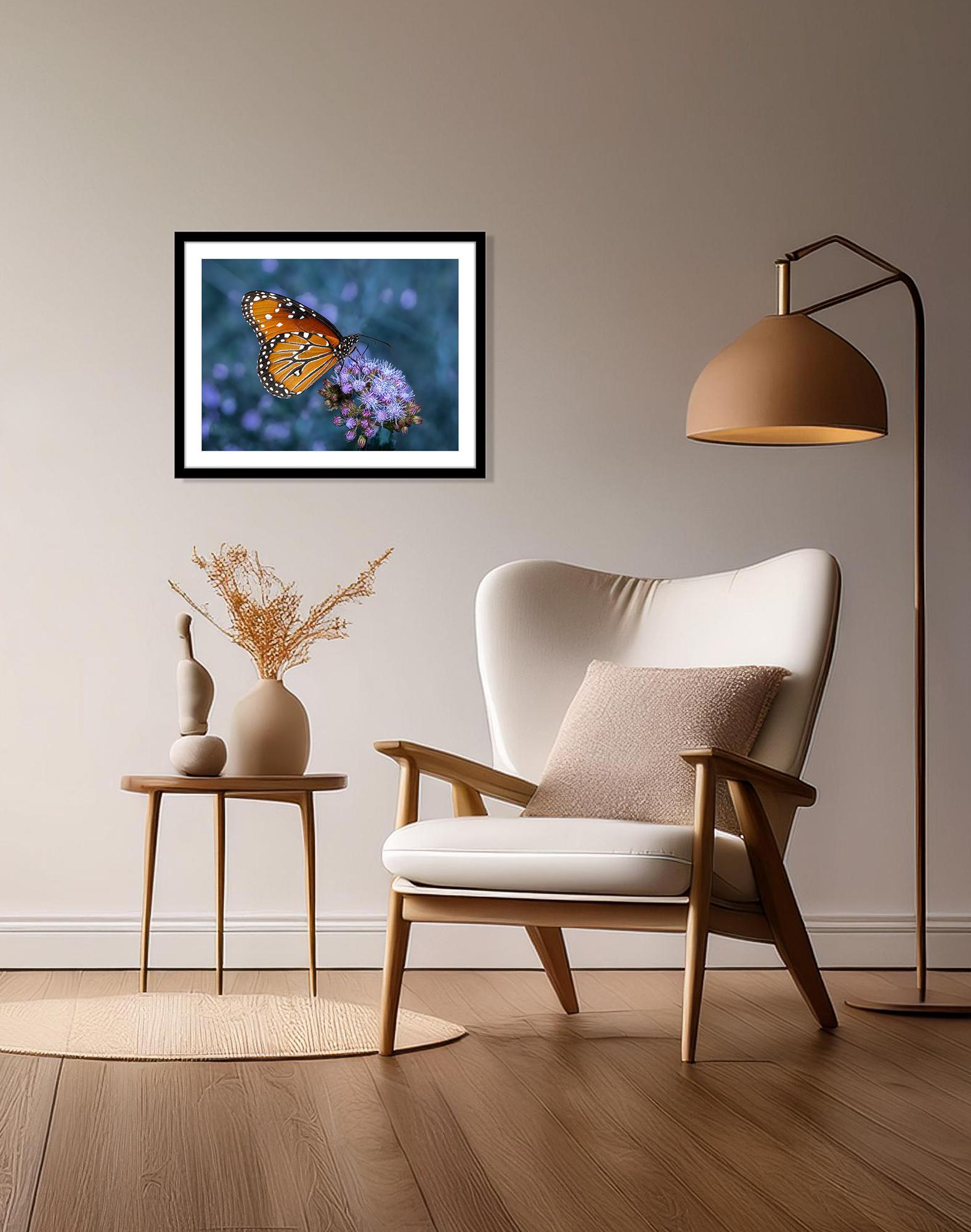 The Queen Fotografie 12 x 16 in Auflage von 20 Schmetterling Nature 2024 (Fotorealismus), Photograph, von Jack Hart