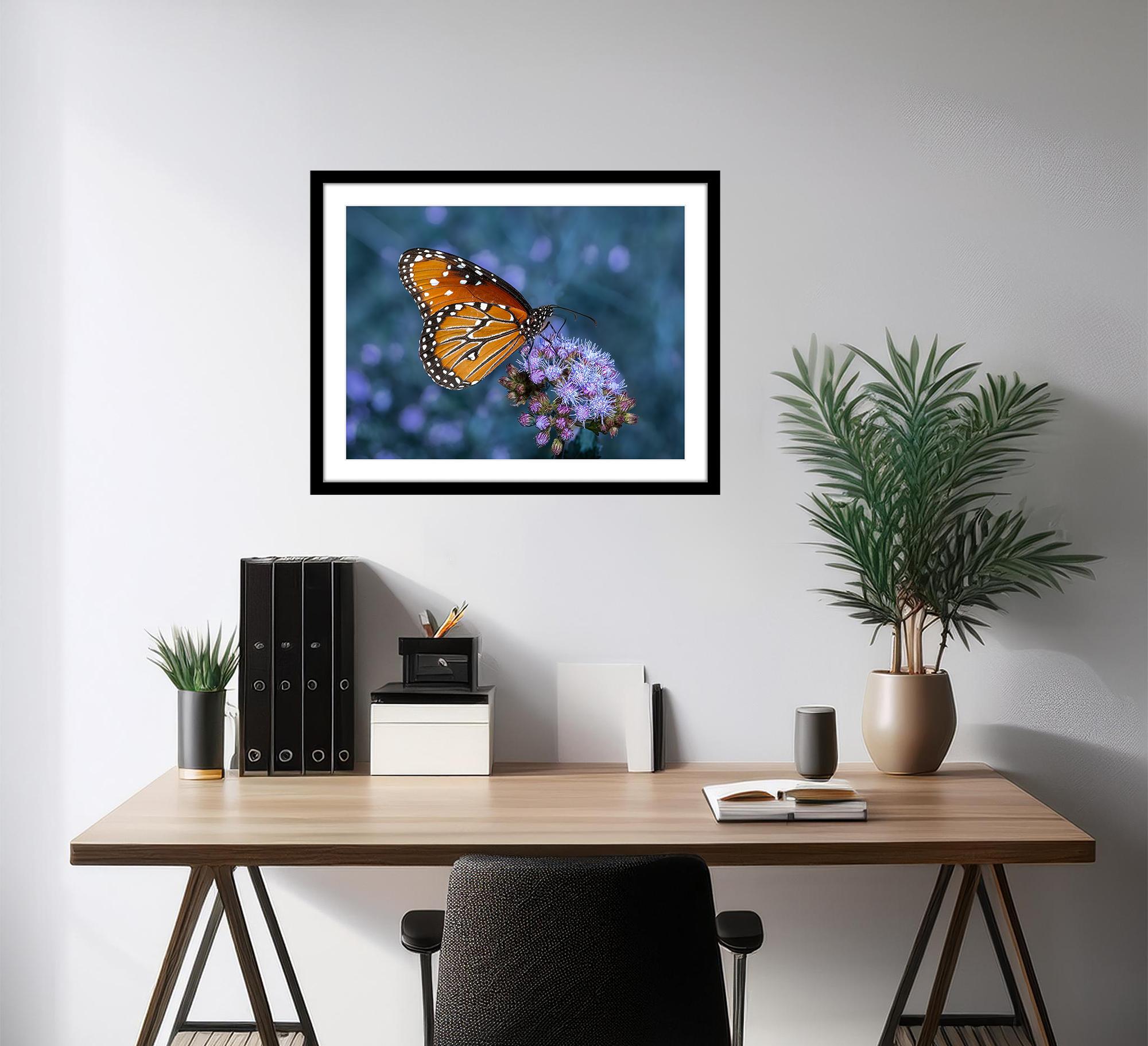 The Queen Fotografie 12 x 16 in Auflage von 20 Schmetterling Nature 2024 (Blau), Color Photograph, von Jack Hart