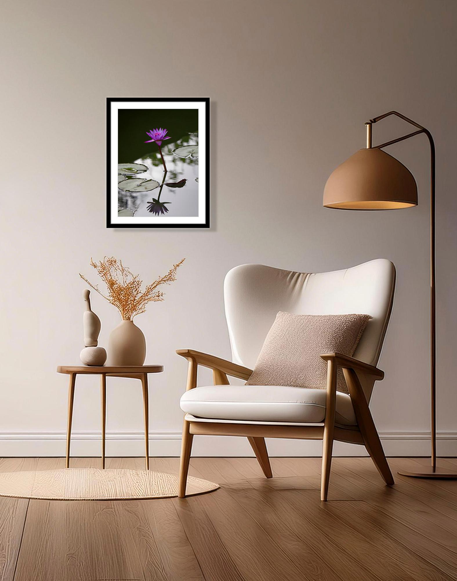 “Water Lilly” Photography 16” x 12” in Edition of 20 Floral Nature 2024 - Black Color Photograph by Jack Hart