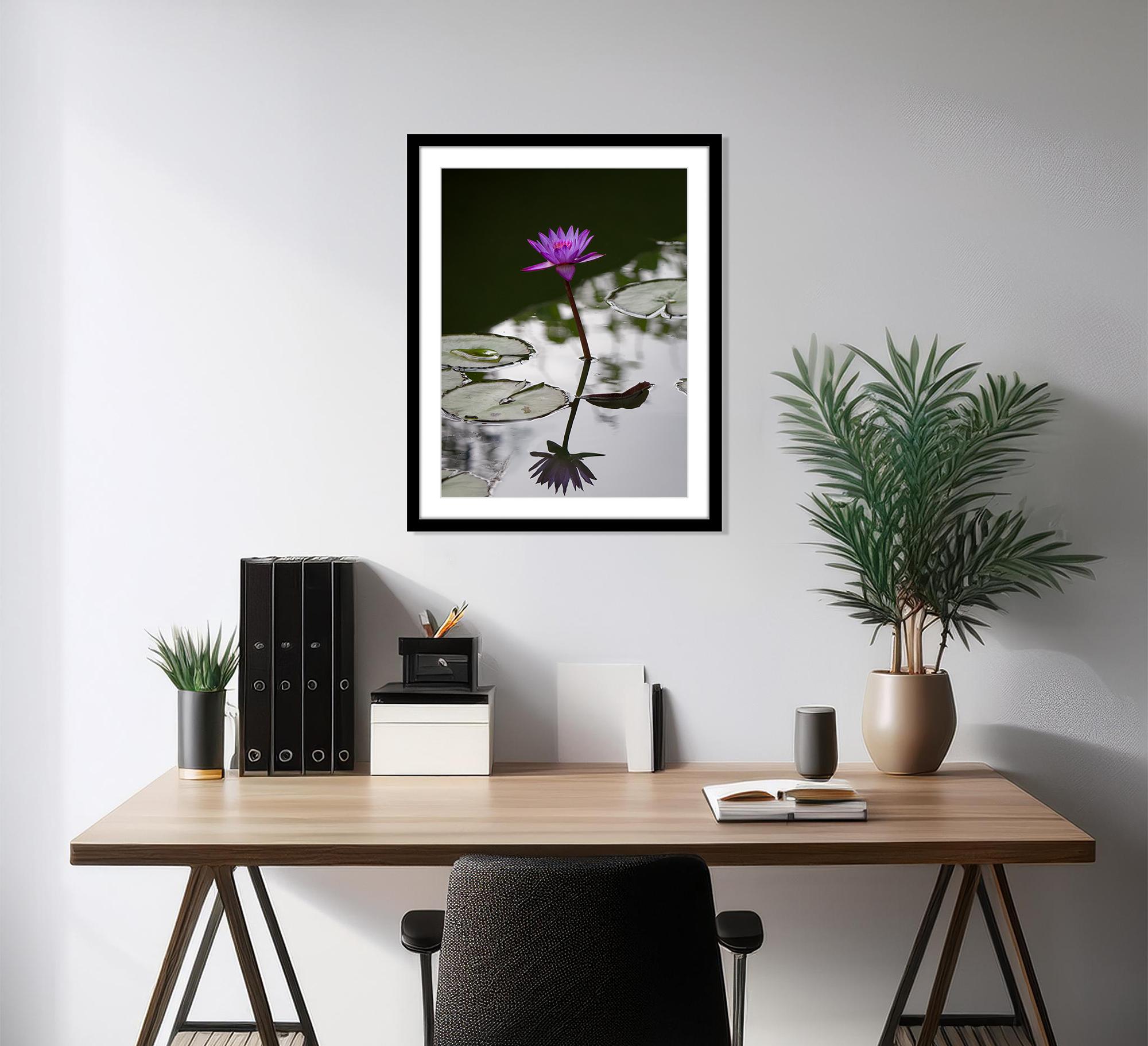  “Water Lilly” is a limited edition of 20. Printed on fine art photo paper, these limited-edition photographs are designed to preserve the beauty of the original scenes. Each piece is hand-numbered and comes with a certificate of authenticity,