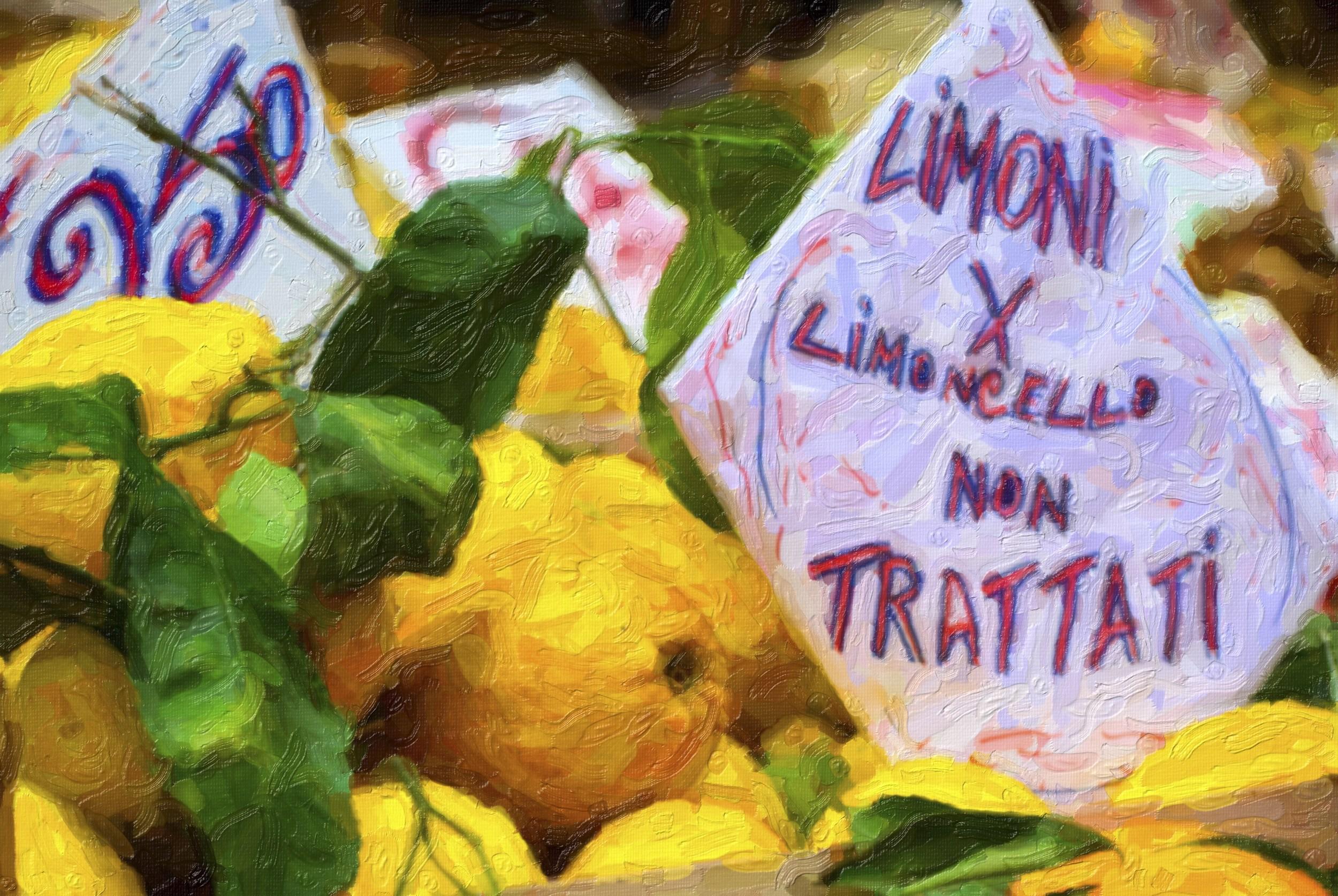 Post-Impressionist Still-life Photography