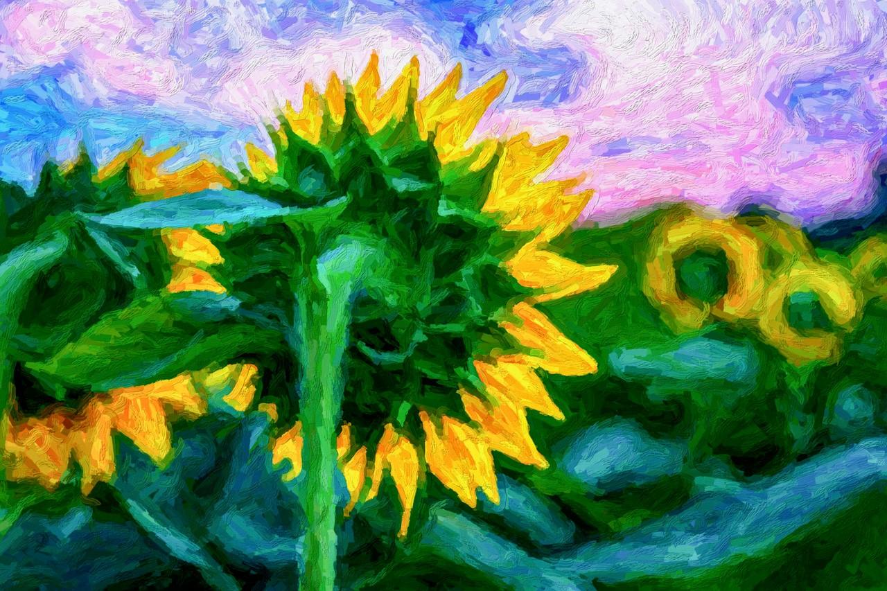 Van Gogh Sunflower