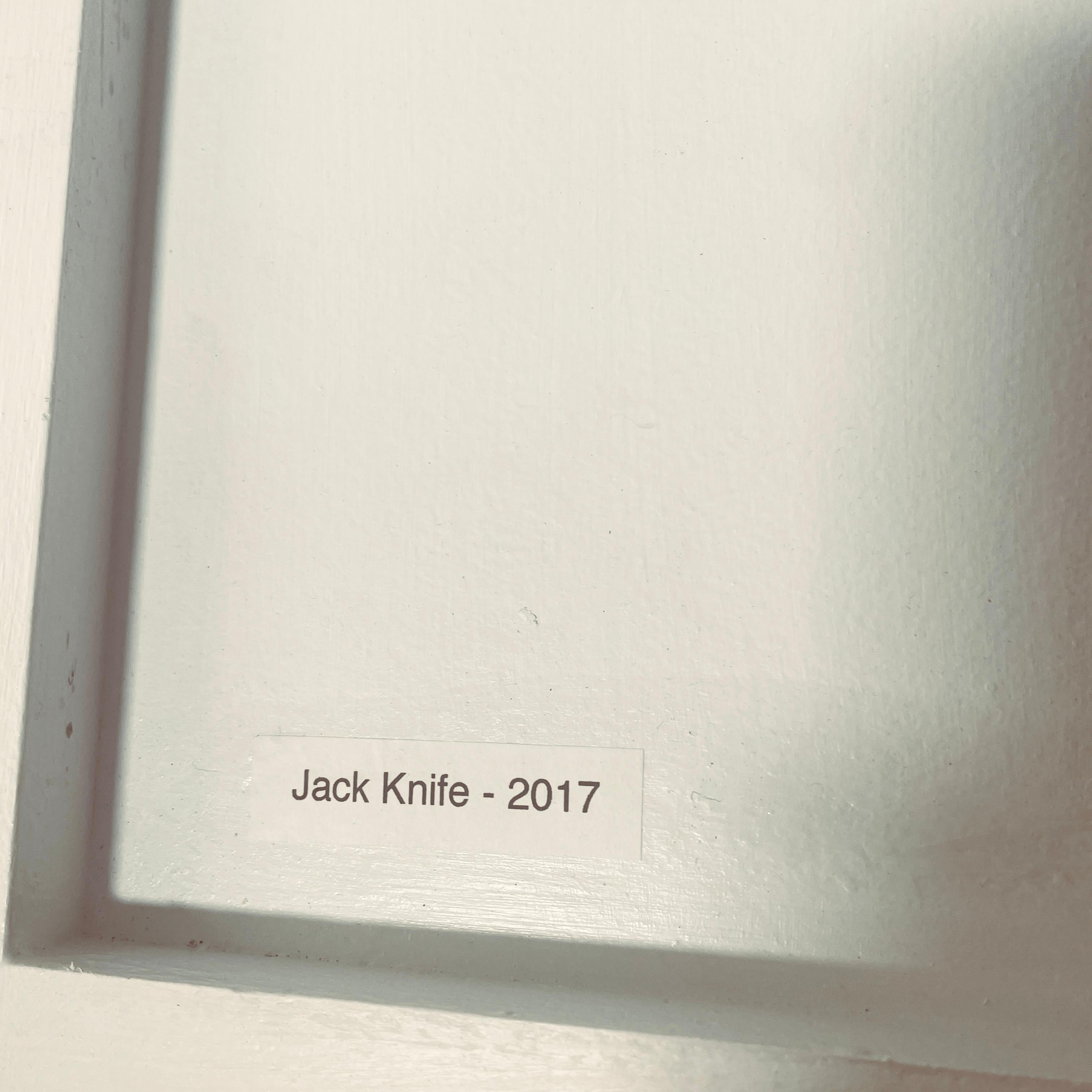 Peinture à l'acrylique sur panneau « Jack Knife » de William Mongomery Phelps Bon état - En vente à Jupiter, FL