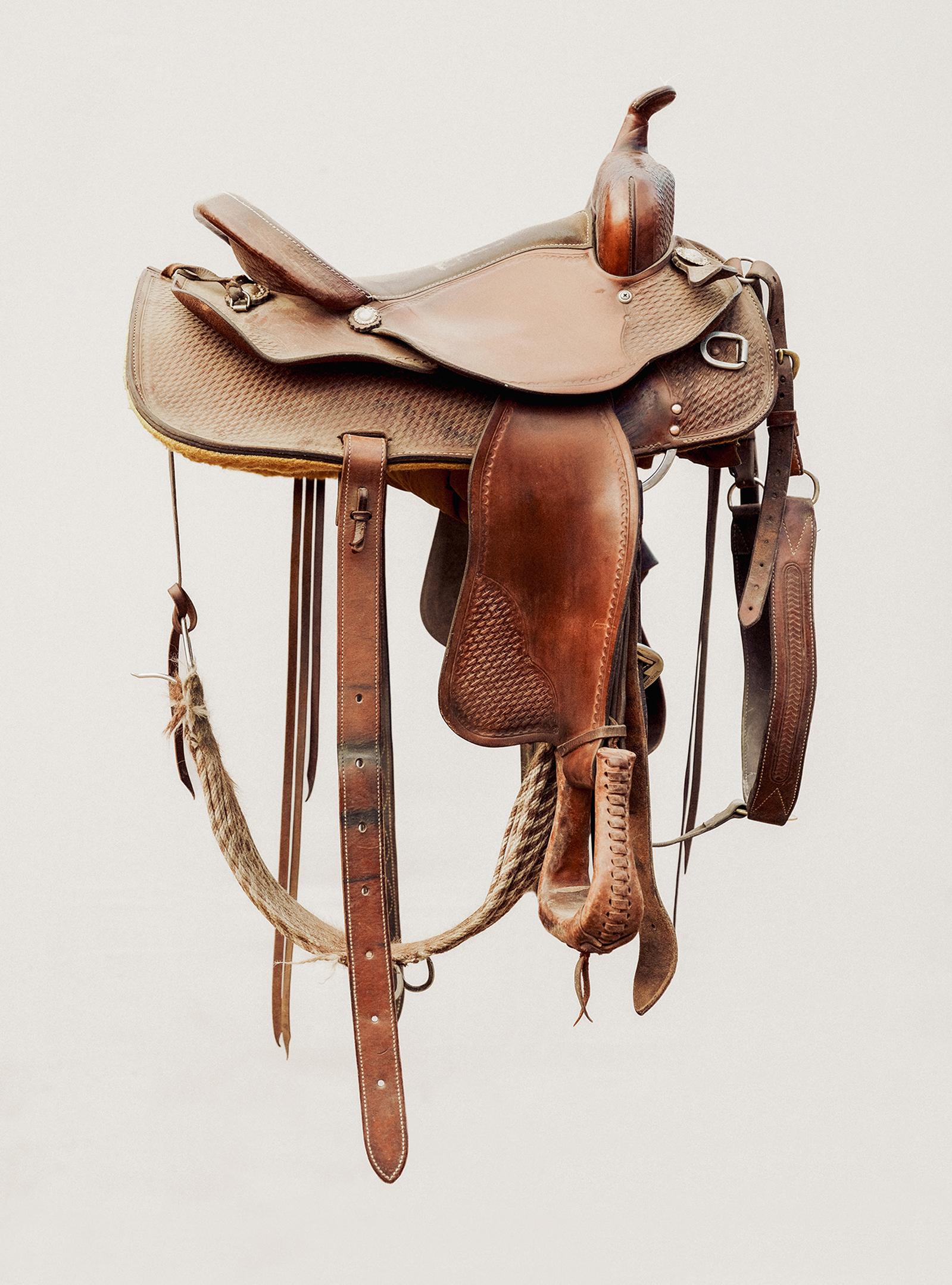 Saddle Study : Unknown - Photograph by Jack Ludlam